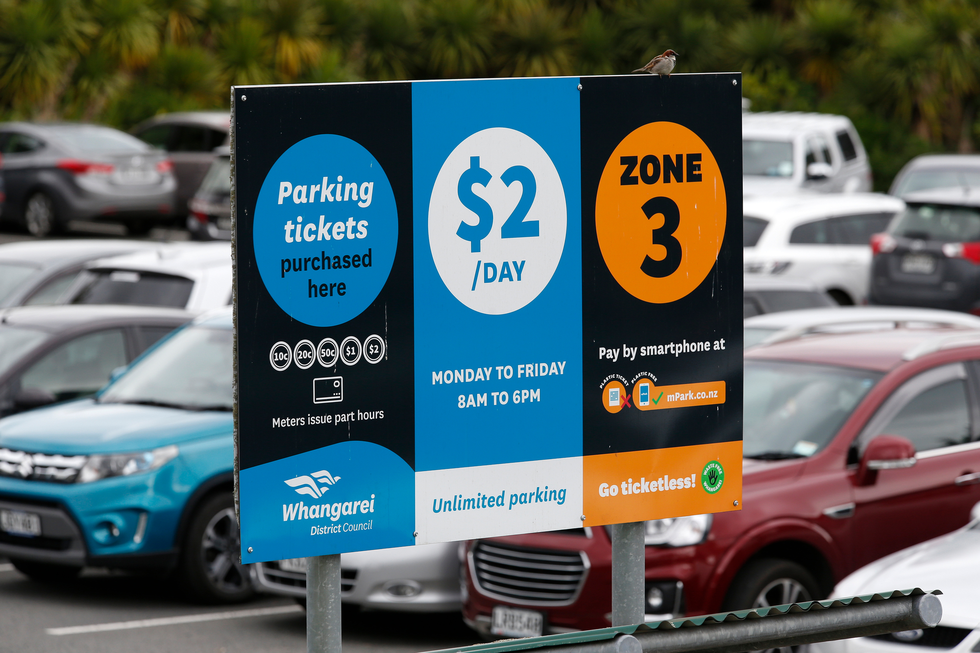 Whangārei city car parking under spotlight in face of forecast competing  pressures - NZ Herald