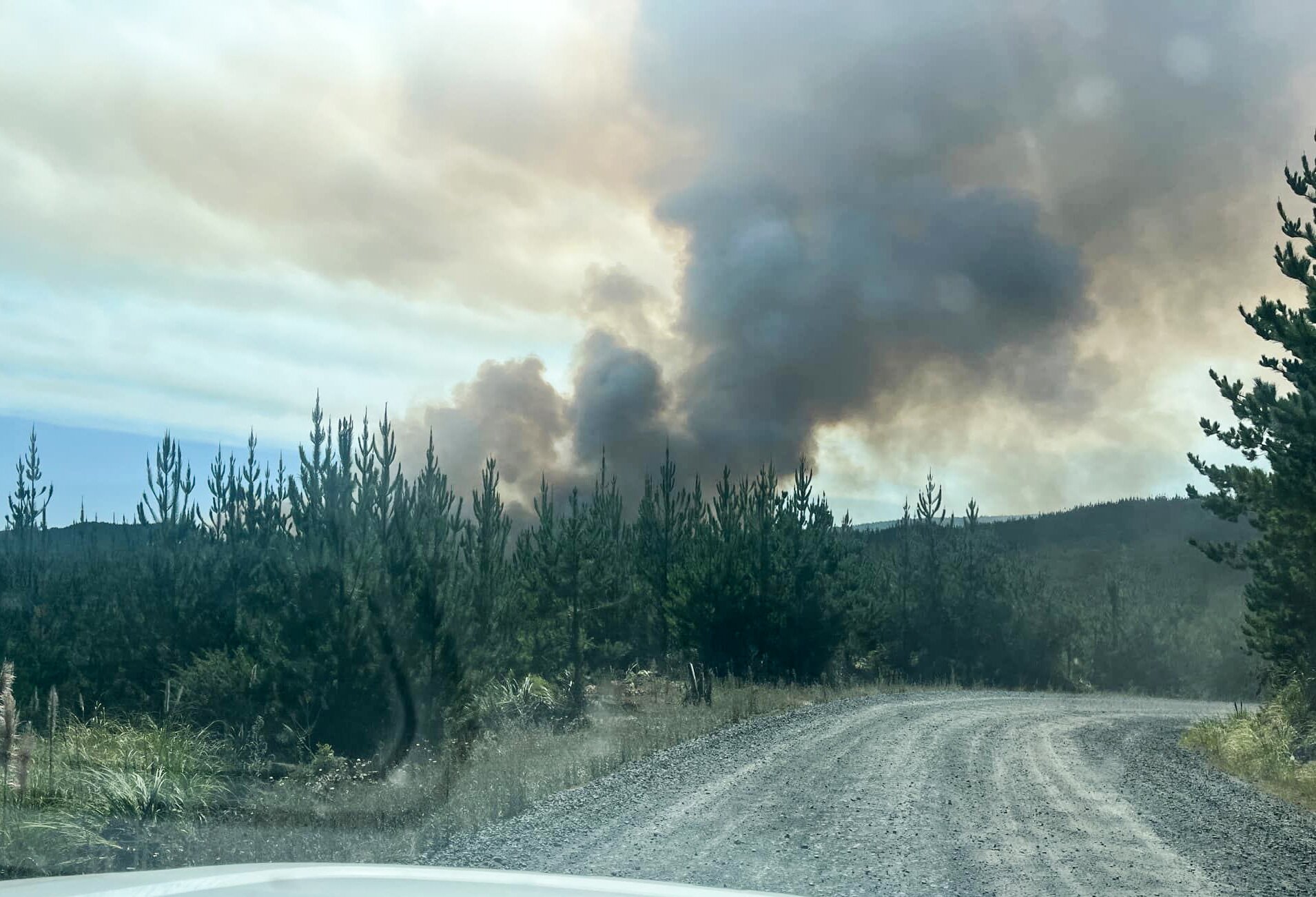 Smoke billows from a scrub fire in the Waipoua Forest. Photo / Supplied Omapere Volunteer Fire Brigade