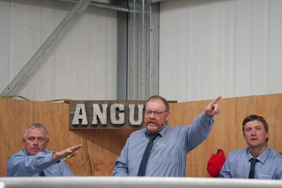 There is a lot of responsibility in being an auctioneer.