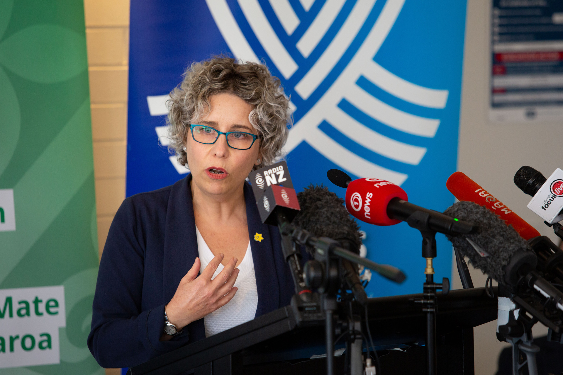 Director-General of Health and Ministry of Health chief executive Dr Diana Sarfati. Photo / Sylvie Whinray