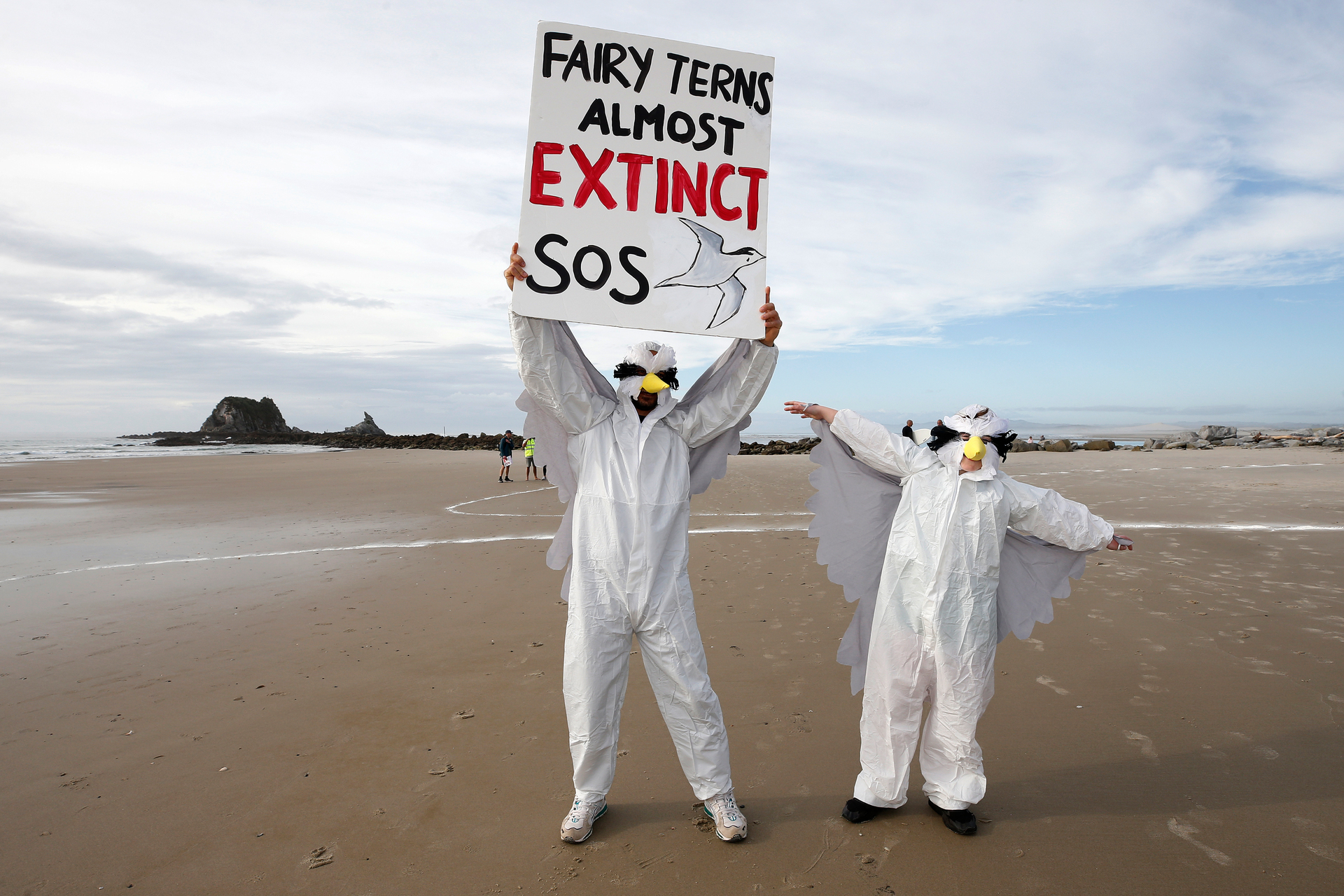 Save Our Sand protesters dressed as fairy terns to voice their concerns against the renewal of sand mining at Pakiri. Photo / Michael Cunningham