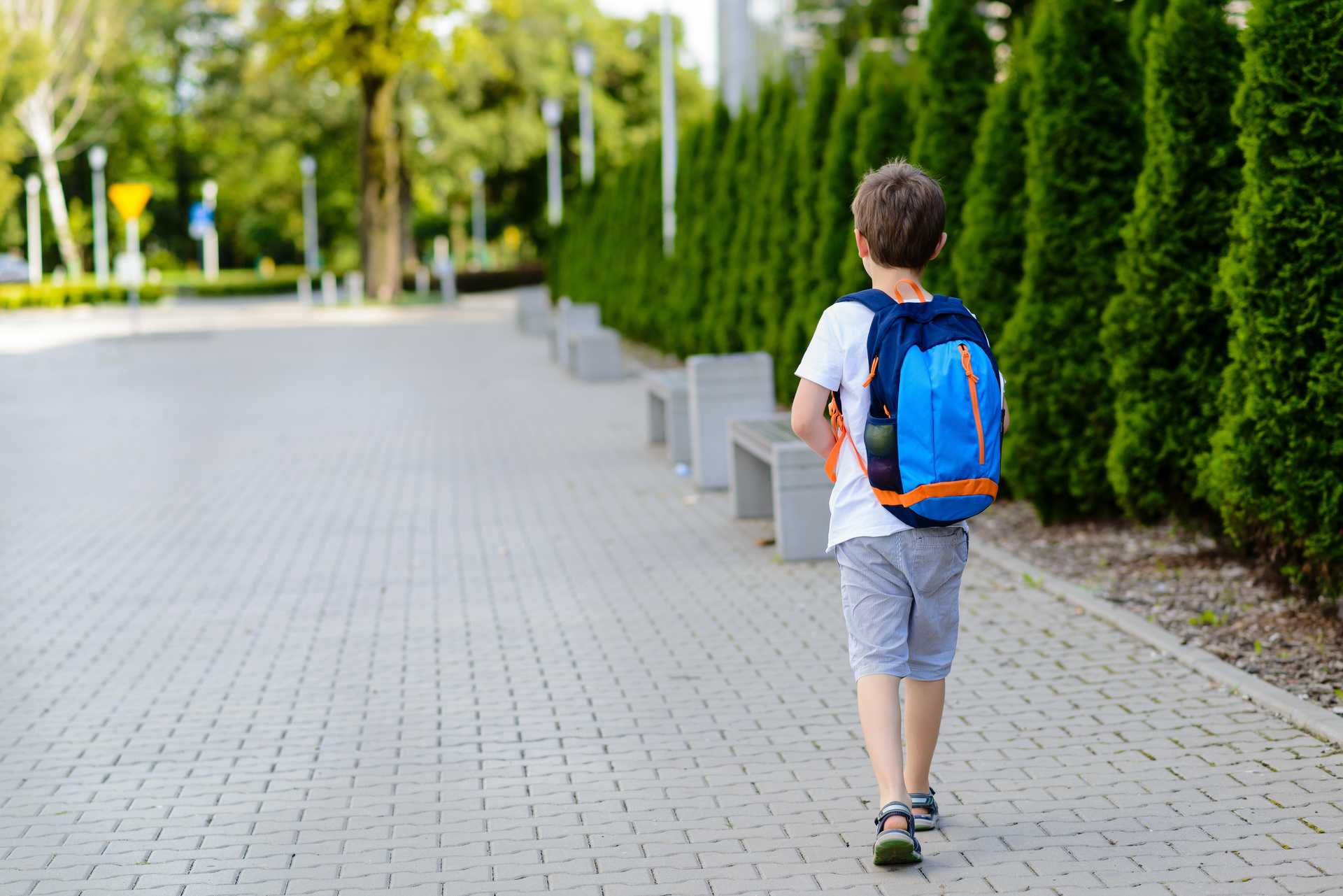 The Education and Training Act 2020 says children with special educational needs have the same rights as everyone else to enrol, attend and receive education at a state school. Stock photo / 123RF