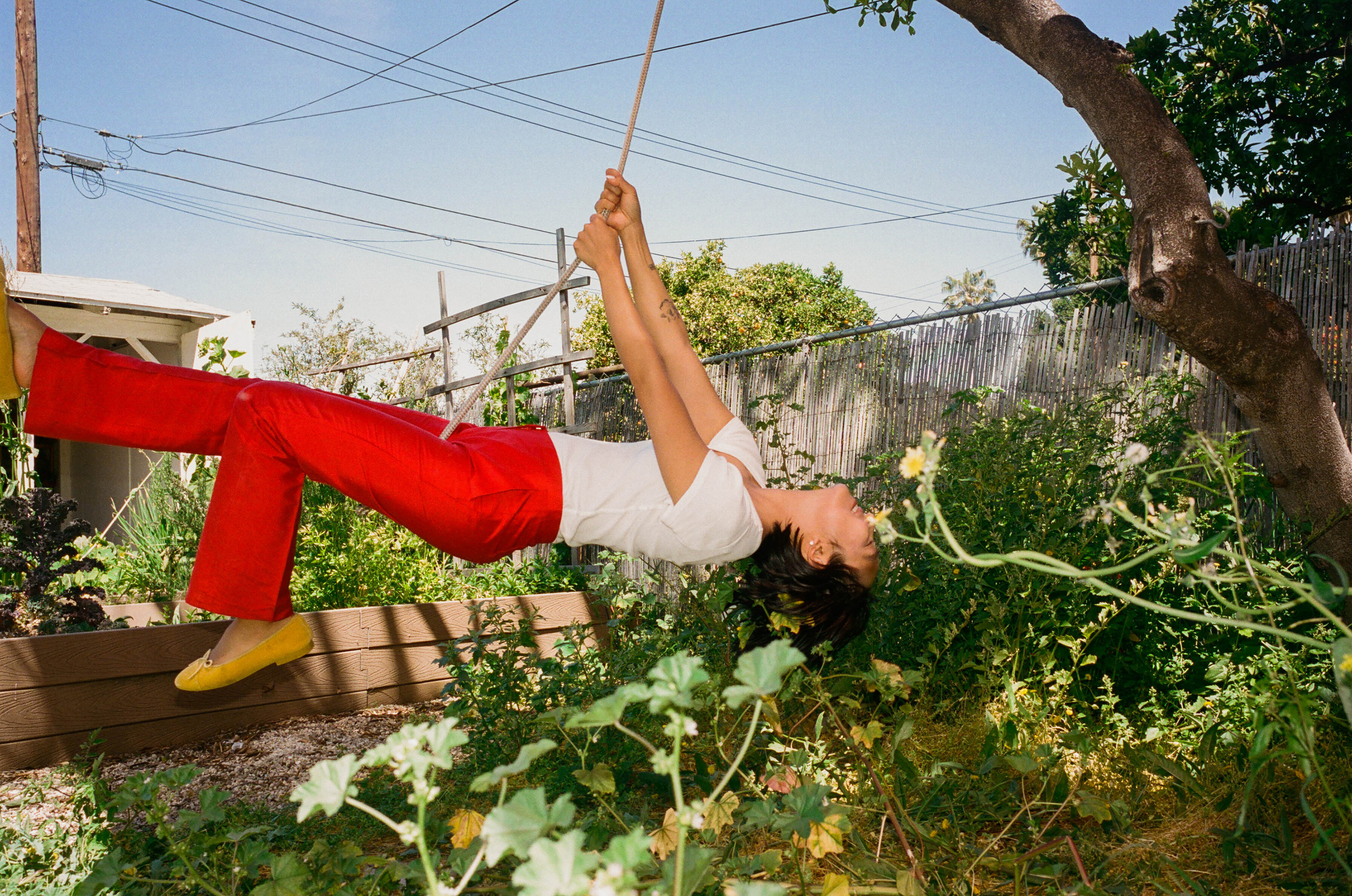Photo / Chantal Anderson, The New York Times