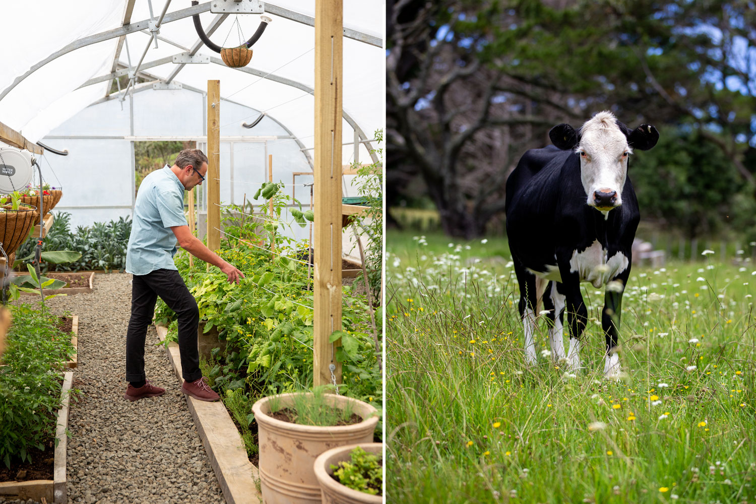 (Left) Michael tends to the produce grown on site for his cookery school. Photos / Babiche Martens