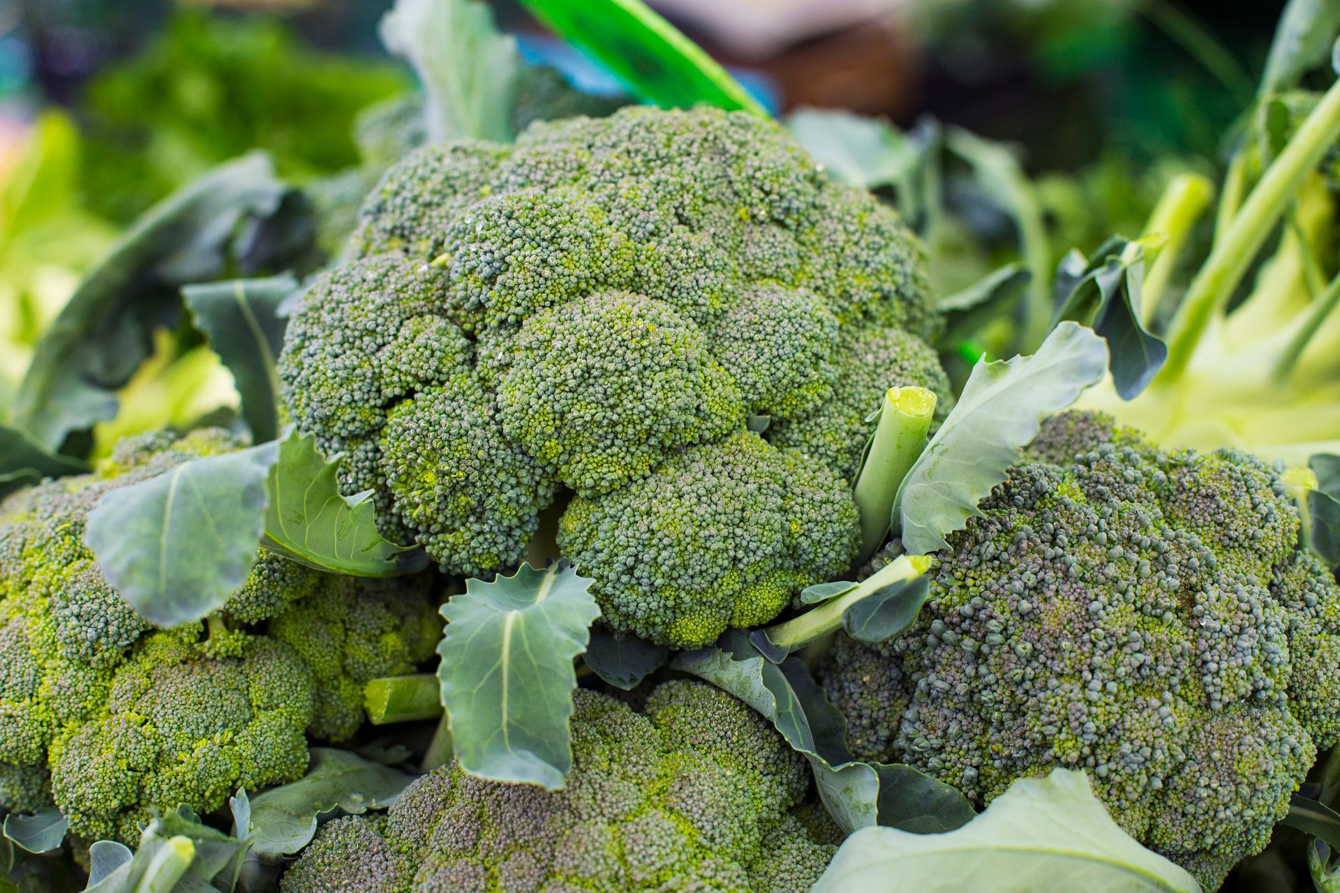 Broccoli is rich in fibre, folate and potassium. Photo / 123RF