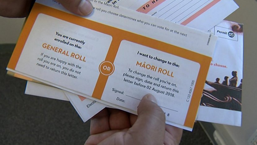 Roll switches can be made at any time except in the three months before an election. Photo / Te Ao Māori News