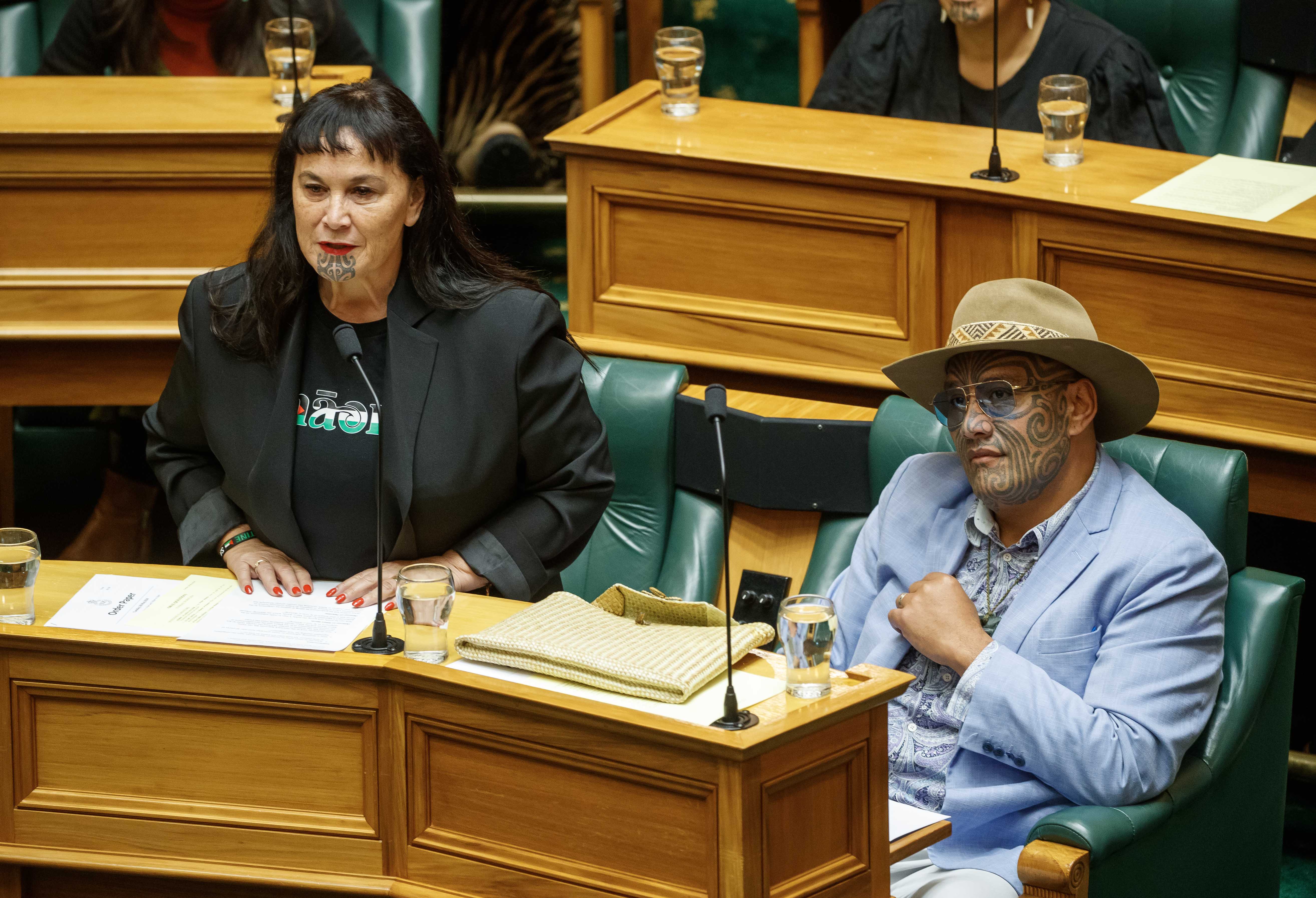 Te Pāti Māori co-leaders Debbie Ngarewa-Packer and Rawiri Waititi during a previous Question Time session in May. Photo / Mark Mitchell  