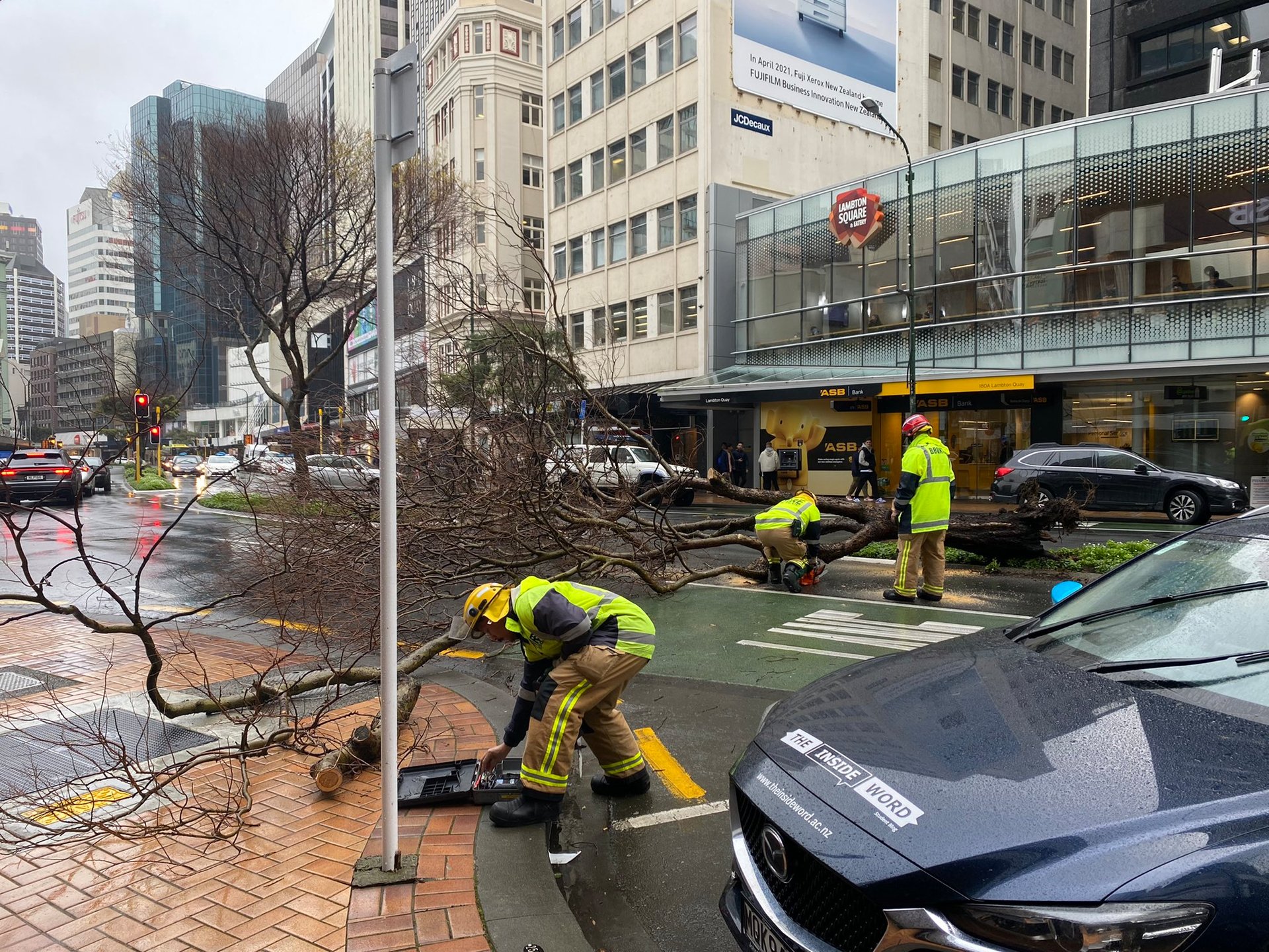 Wild weather two weekends ago brought trees down in Wellington. Photo / WCC 