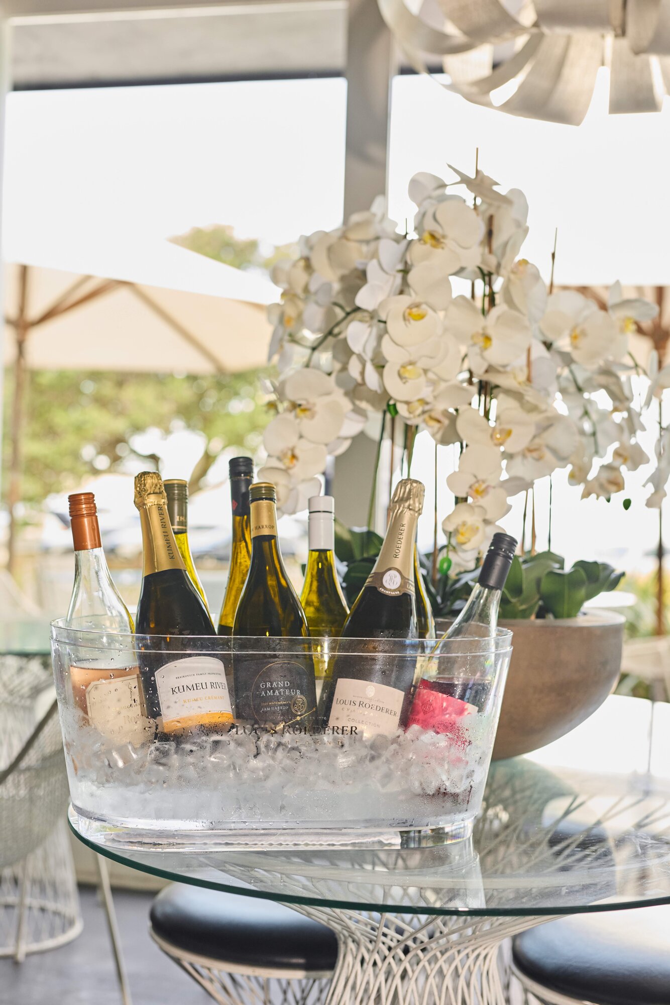 Coffee, gelato and now wine are on the menu at the Takapuna Beach Cafe.