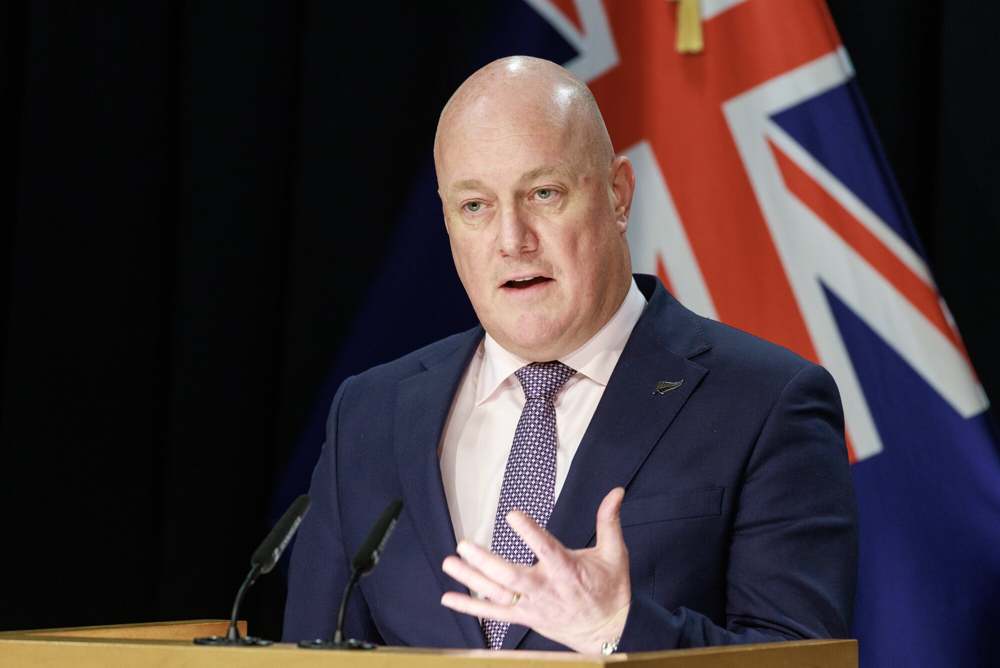 Prime Minister Christopher Luxon was critical of the lack of costings. Photo / Mark Mitchell