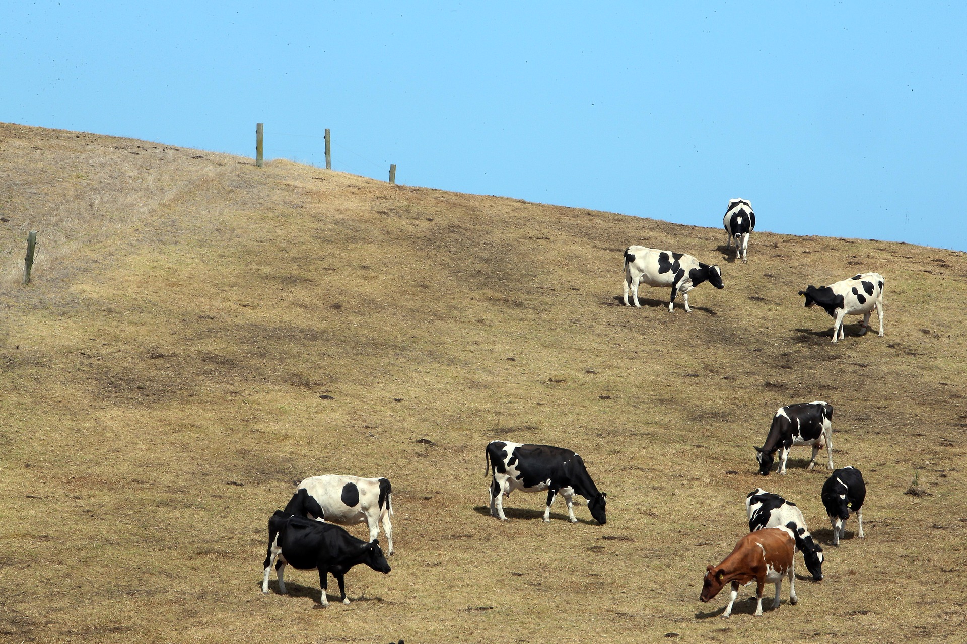 East Coast farmers are already preparing for the possibility of drought this summer.
