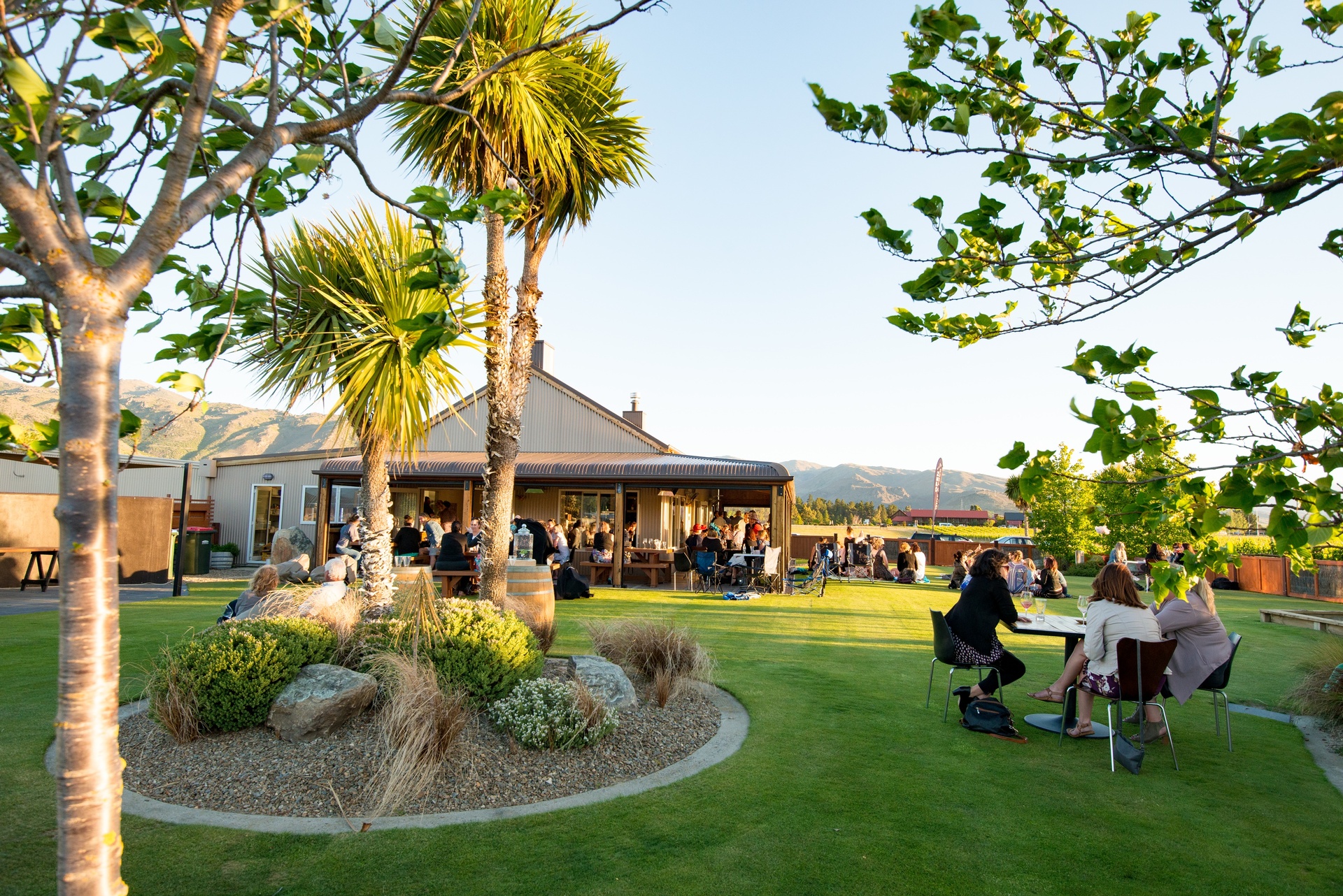 Wooing Tree Winery takes its name from a local landmark, where generations of Cromwell suitors have