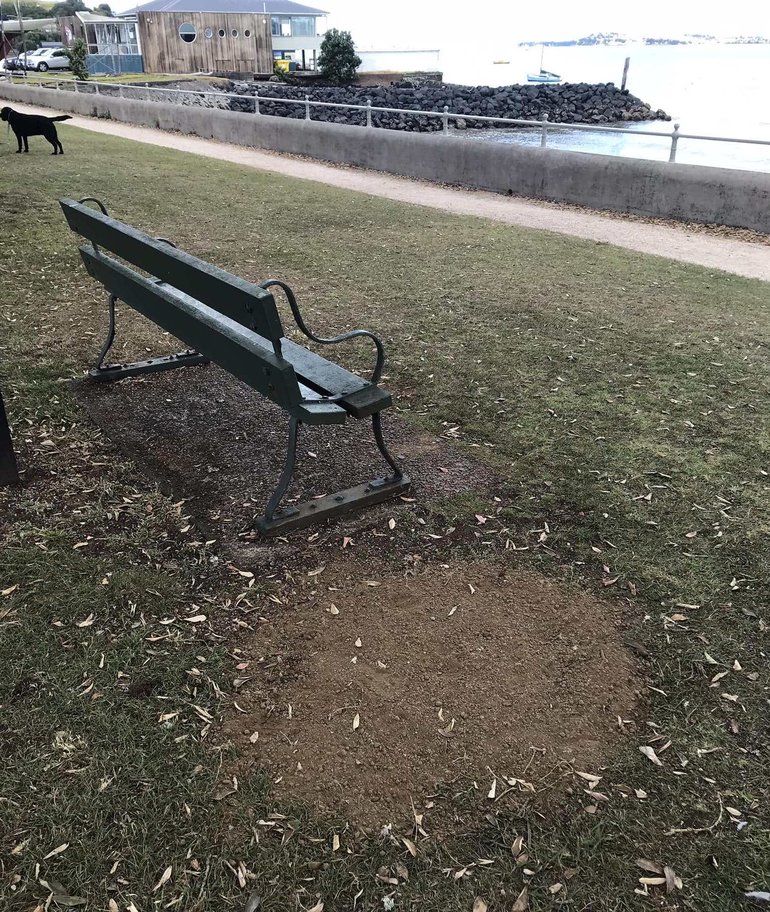 The waterfront at Devonport now has fewer bins for dog poo, fish and chip wrappers - and everything else.