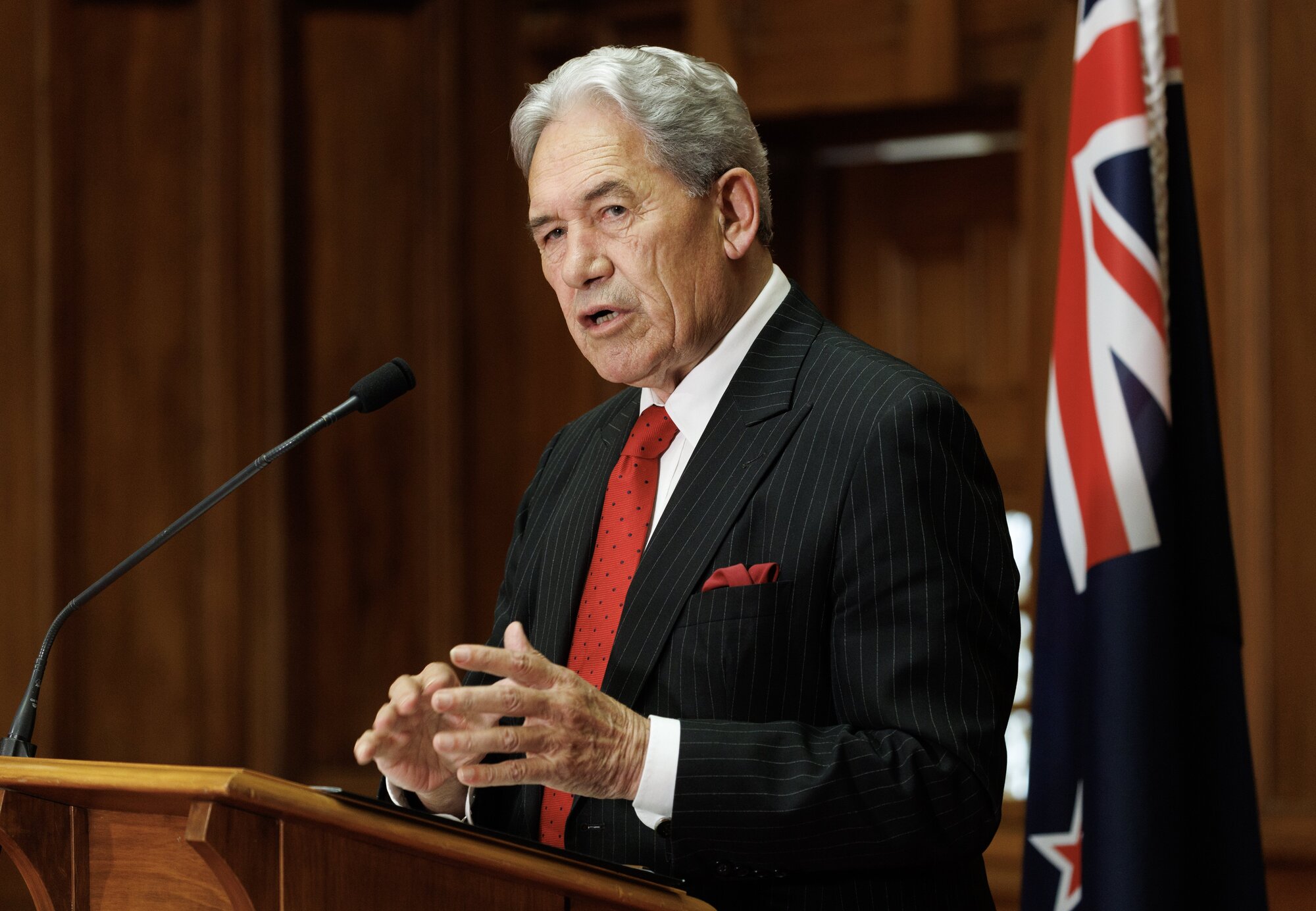 NZ First leader Winston Peters's last day as Deputy Prime Minister is on May 31. Photo / Mark Mitchell
