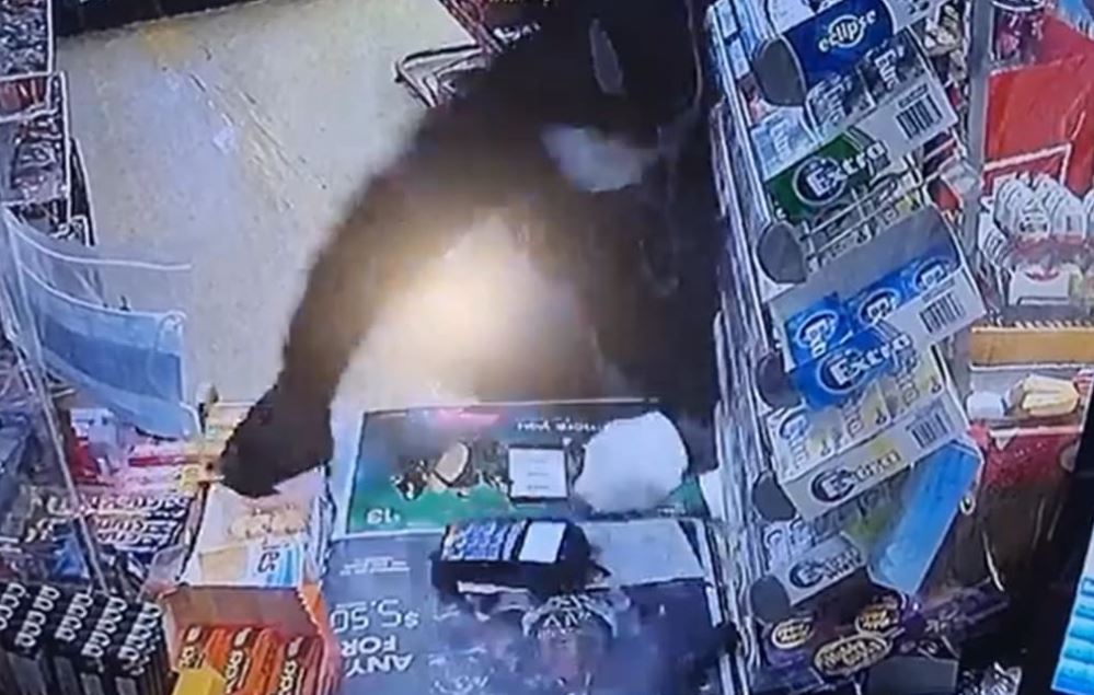 The moment a robber jumped onto the counter at New Plymouth's Windmill Dairy. Photo / Supplied