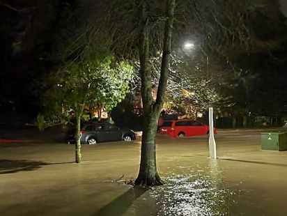 Floodwaters in Ranui. Photo / Supplied