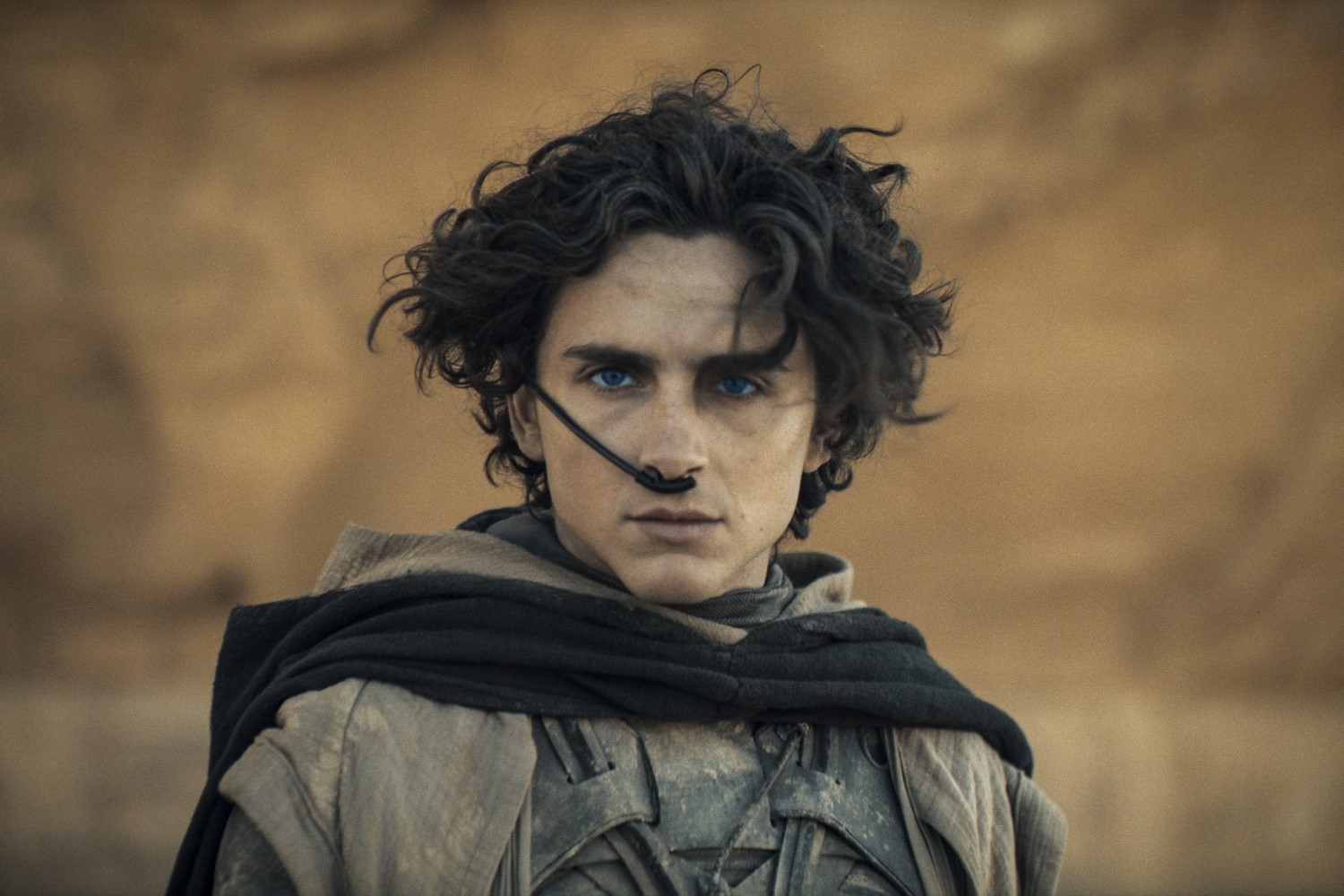 Timothée Chalamet stars as Paul Atreides in Dune Part Two. Photo / AP