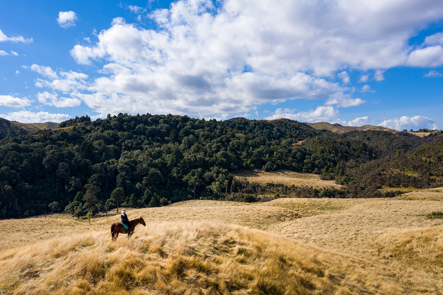 Trek through rolling valleys on a horse. Photo / Supplied
