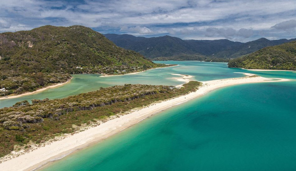 Awaroa - Kiwis voted for this one with their wallets. Photo / Supplied 
