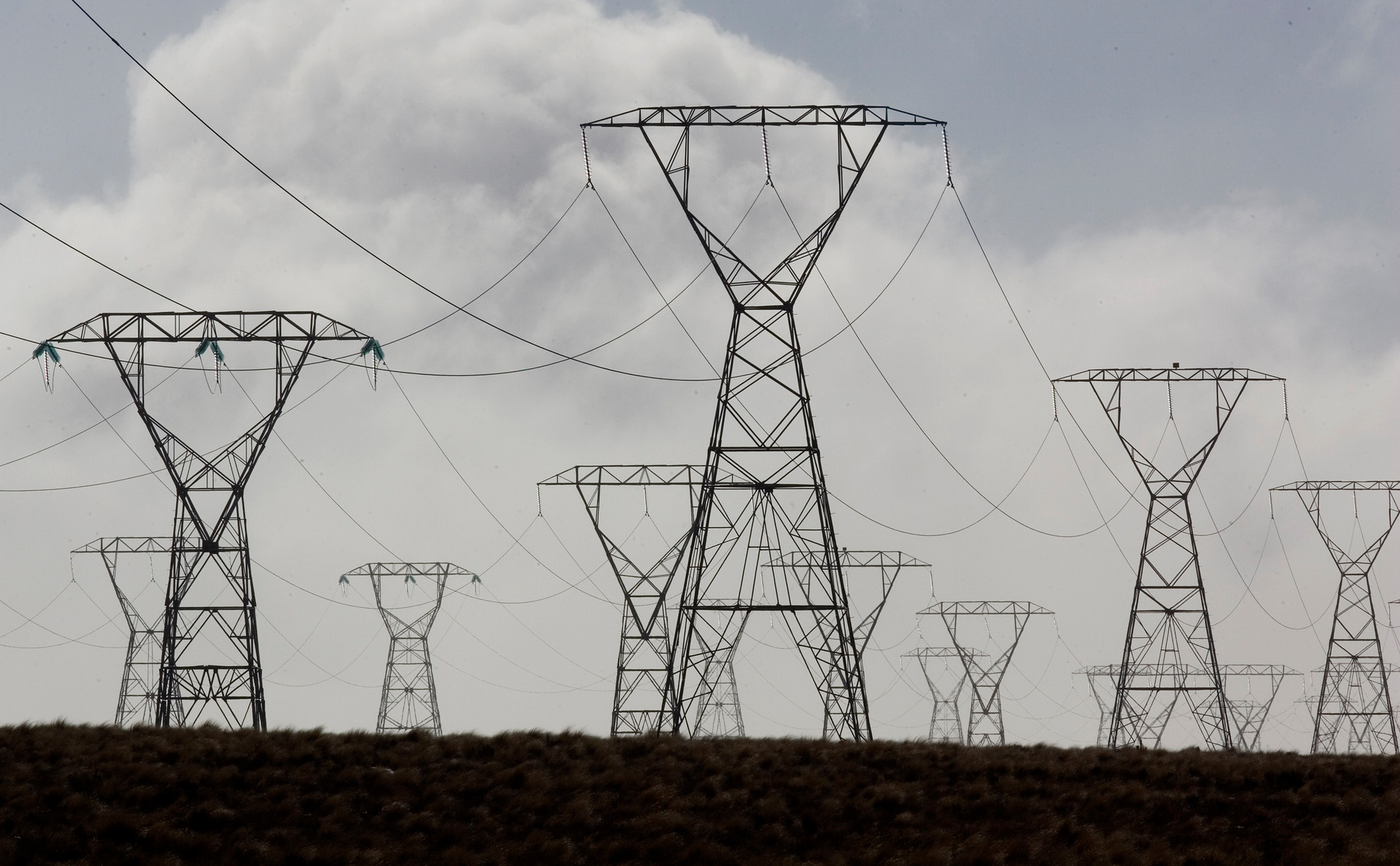 A consumer advocacy group asks if the power companies are making too much money. Photo / NZME