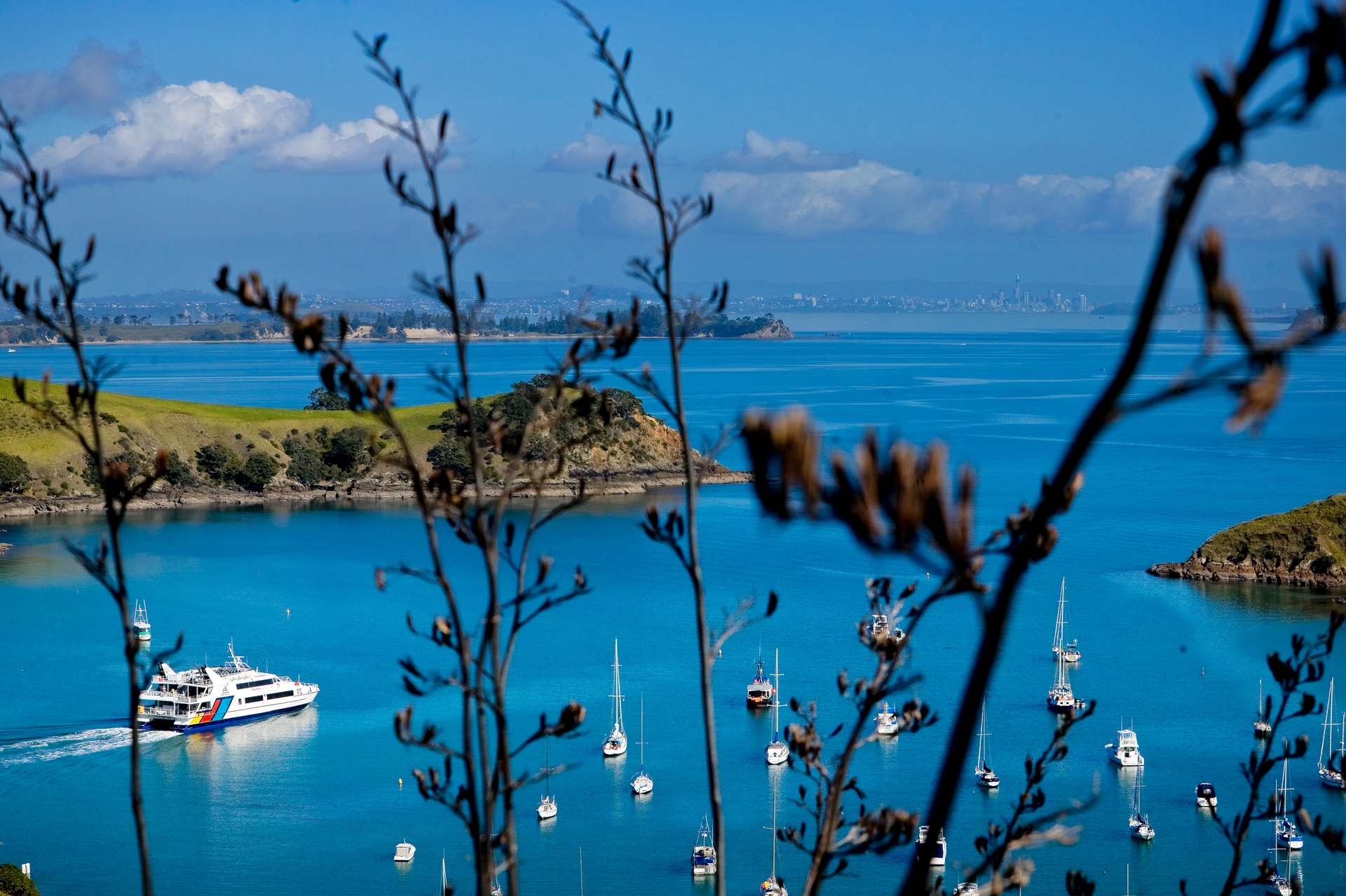 Fullers will have a new competitor on the Waiheke Island service next month. 
