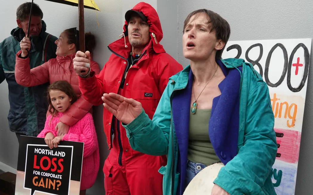 Protesters voice their feelings over two controversial fast-track projects. Photo / RNZ, Peter de Graaf