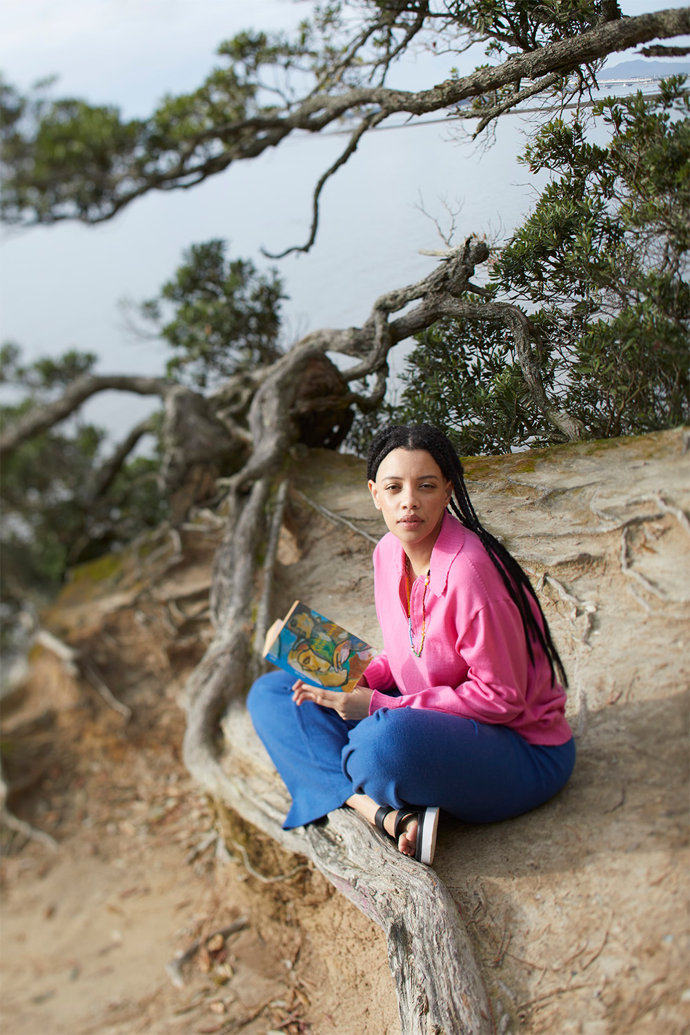 Sunnier weather invites you into the great outdoors. Take these excellent books as company. Photo / Mara Sommer