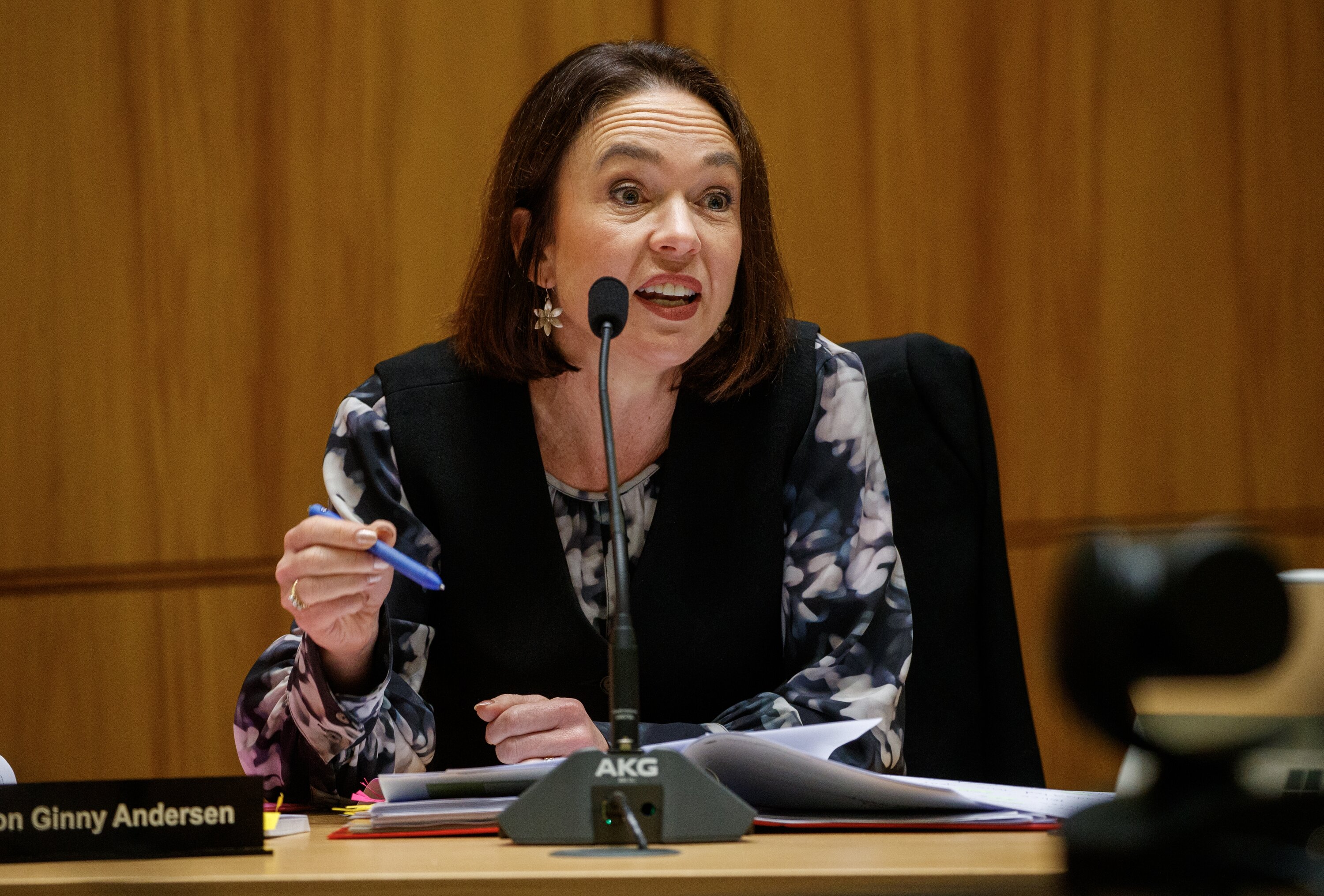 Labour police spokeswoman Ginny Andersen says the key concern is how a lack of enforcement will affect public perceptions of police. Photo / Mark Mitchell   