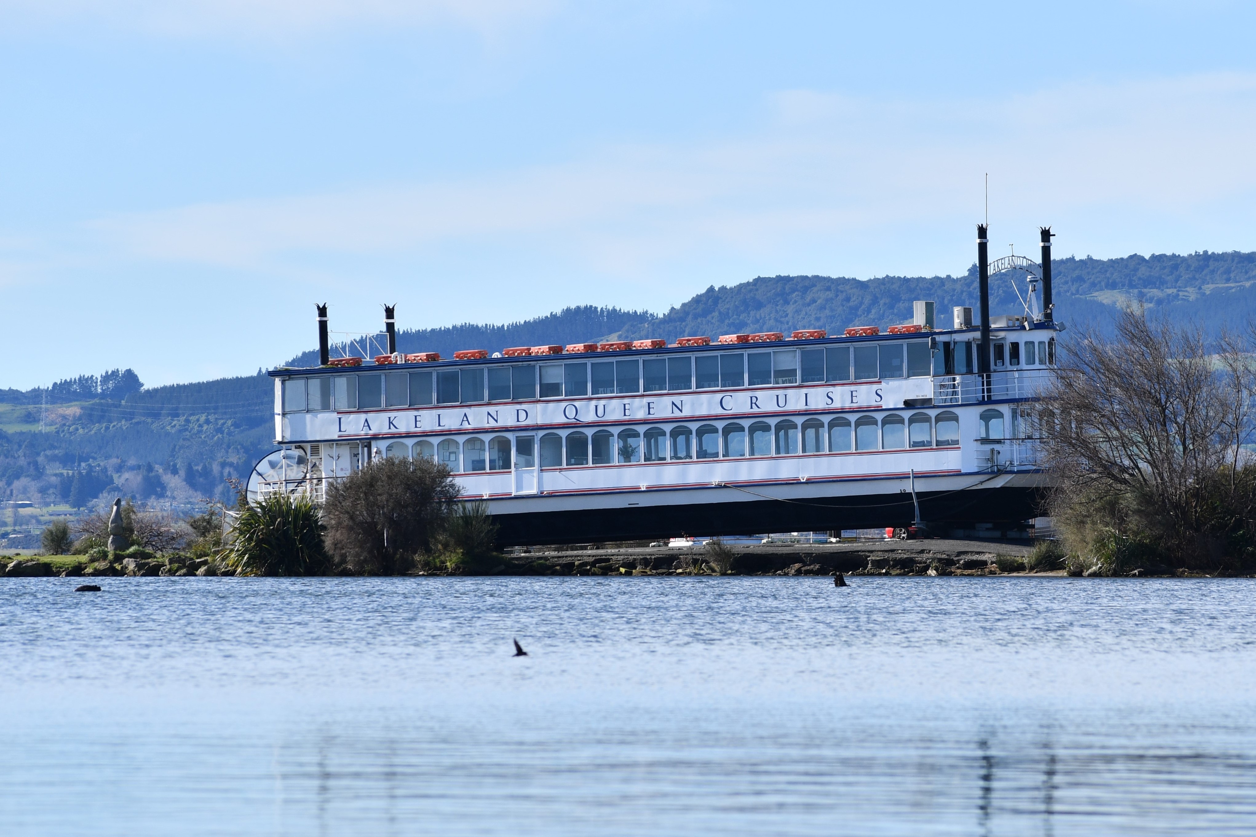 The Lakeland Queen has been on dry land at Rotorua's Sulphur Point for years. Photo / Laura Smith