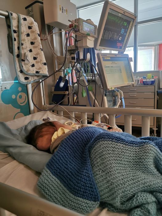 Daxton in the neonatal intensive care unit in Auckland. Photo / Supplied