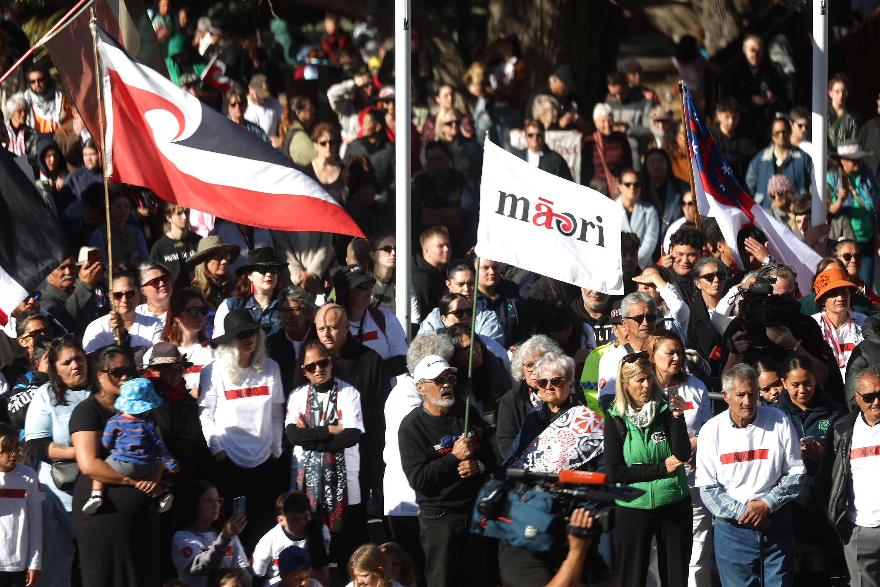 Wellington iwi Ngāti Toa Rangatira organised a mass protest outside of Parliament last month against the legislation. Photo / Marty Melville