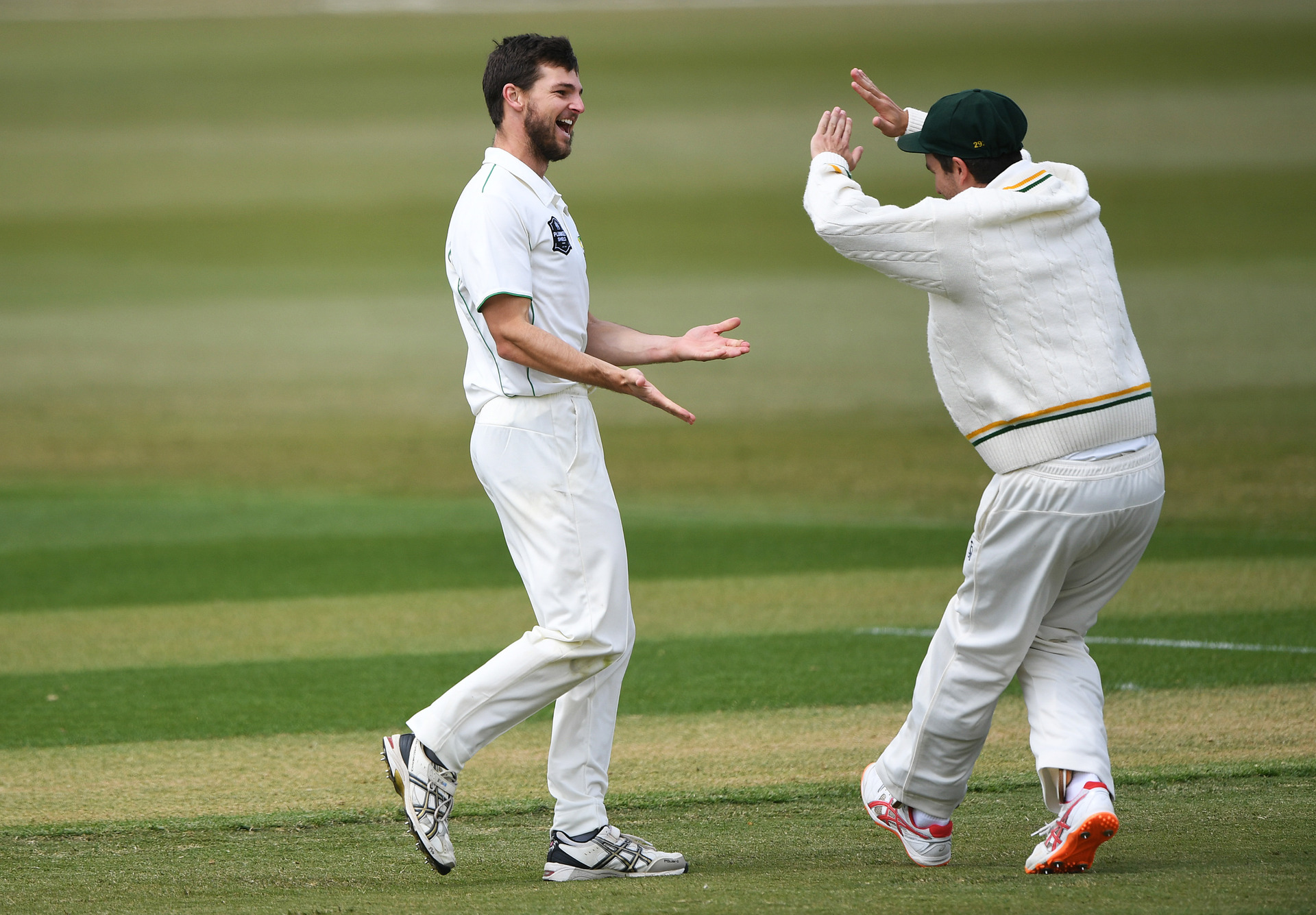 wickett crickett cds 新色追加 swim.main.jp