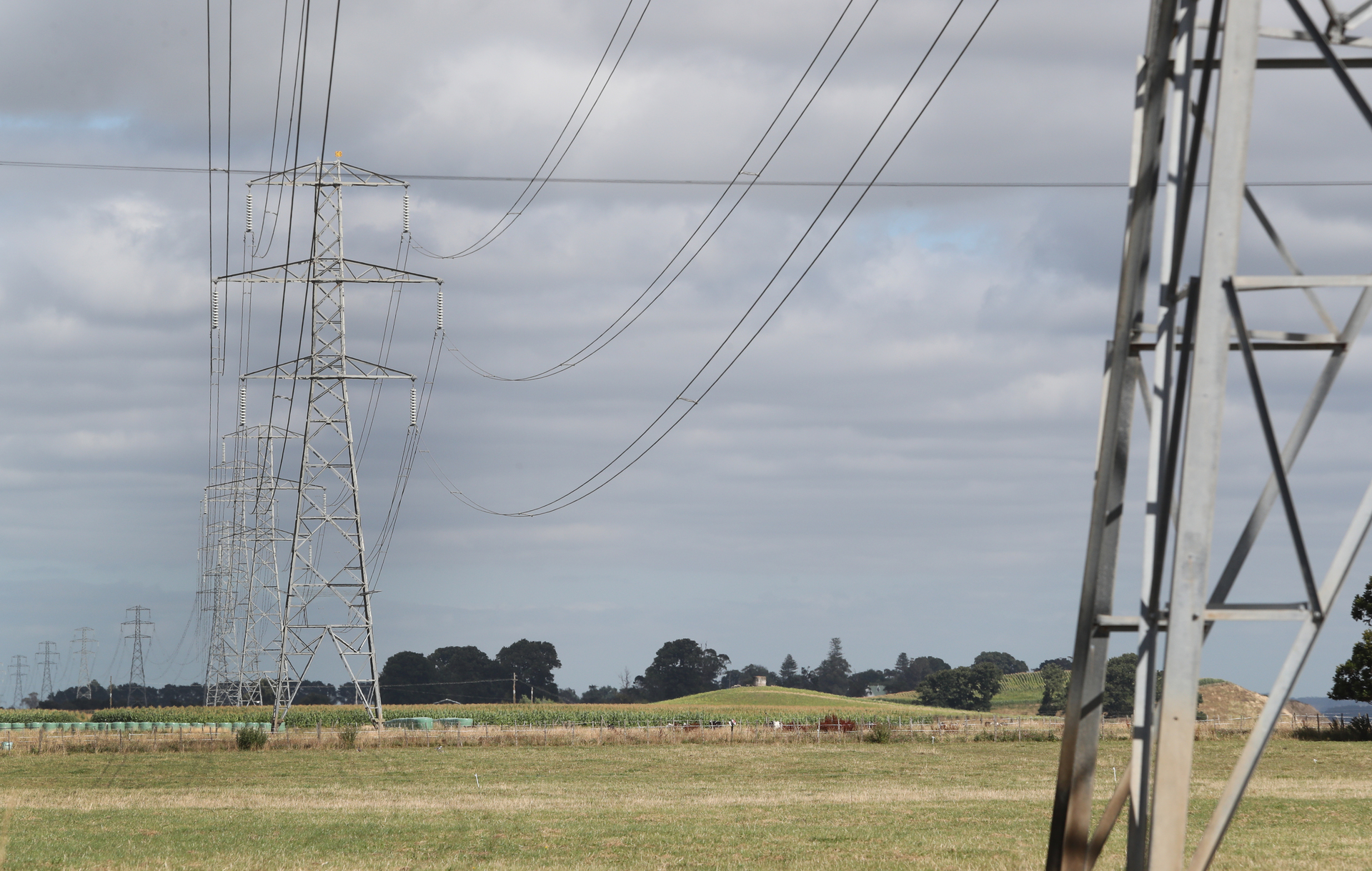 Energy costs have increased for most businesses over the past year. Photo / Bevan Conley