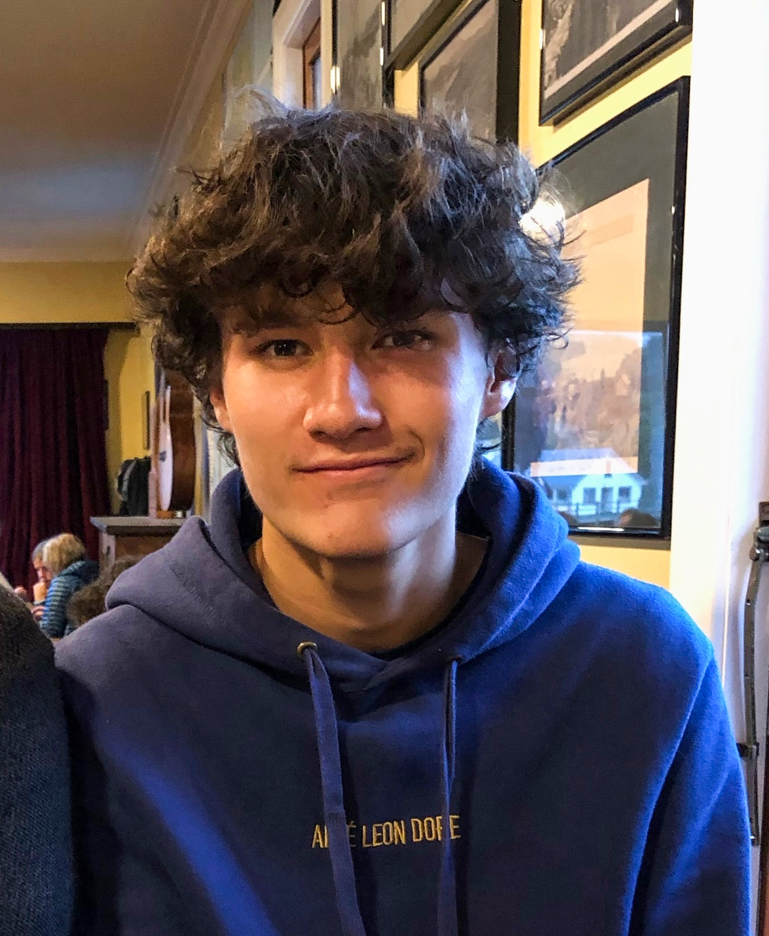 Josh Hartner, 17, was struck and killed by a vehicle in Omaha in the early hours of New Year's Day. Photo / Supplied