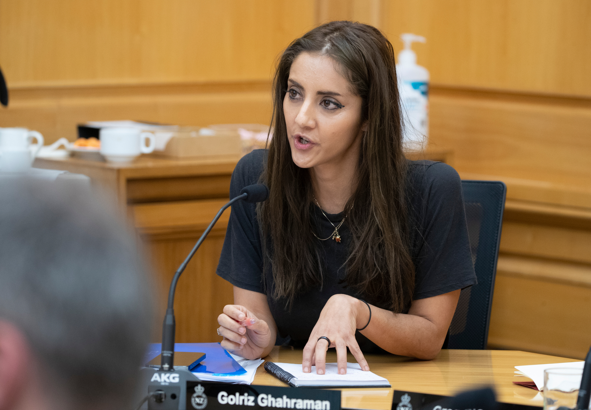 Green Party MP Golriz Ghahraman. Photo / Mark Mitchell