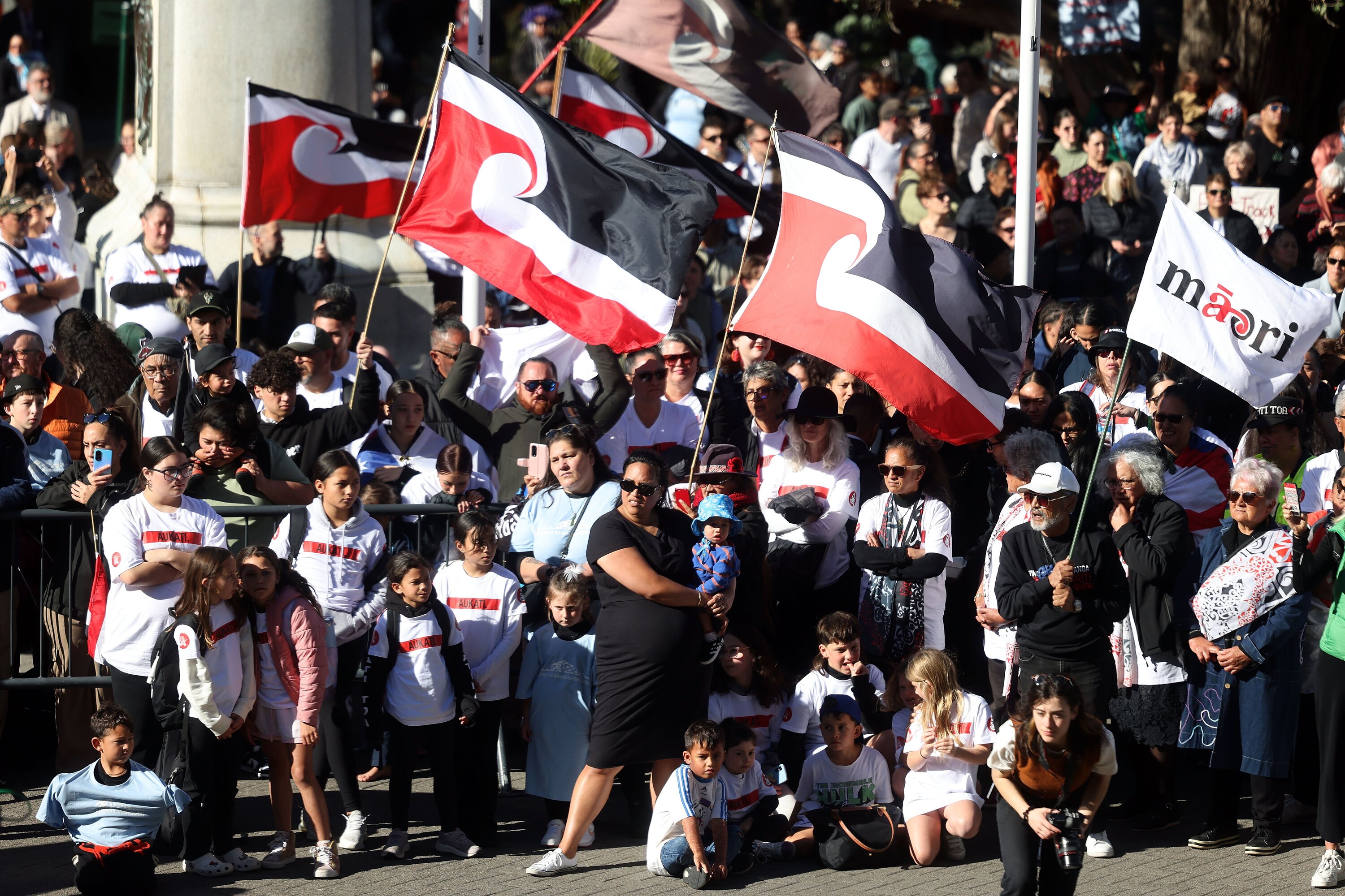 Hundreds of protesters marched on Parliament to oppose the fast-track legislation. Photo / Marty Melville