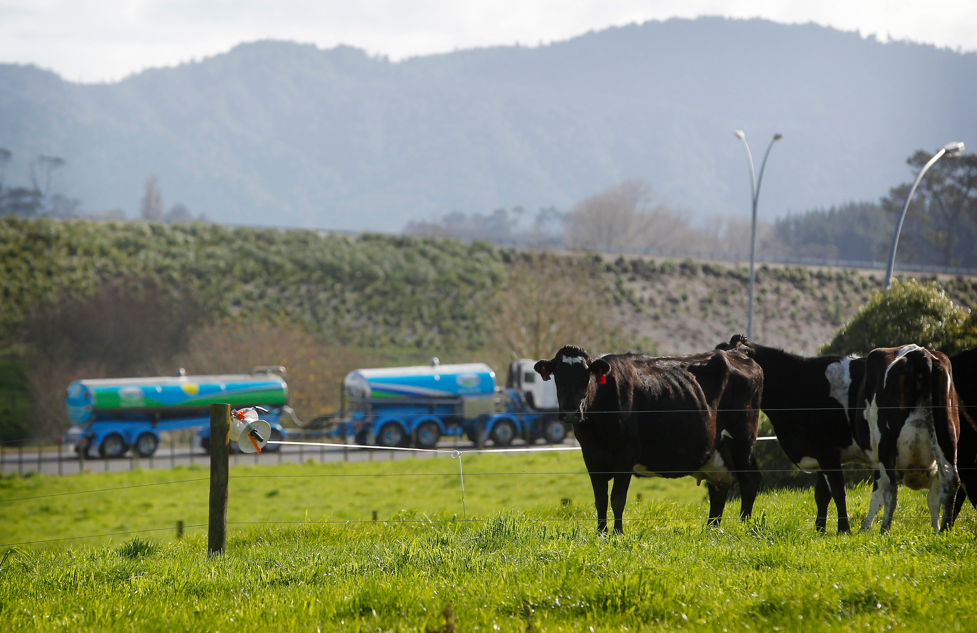 Fonterra, the country’s largest dairy producer, and exporter, has committed to reducing coal use across six manufacturing locations.