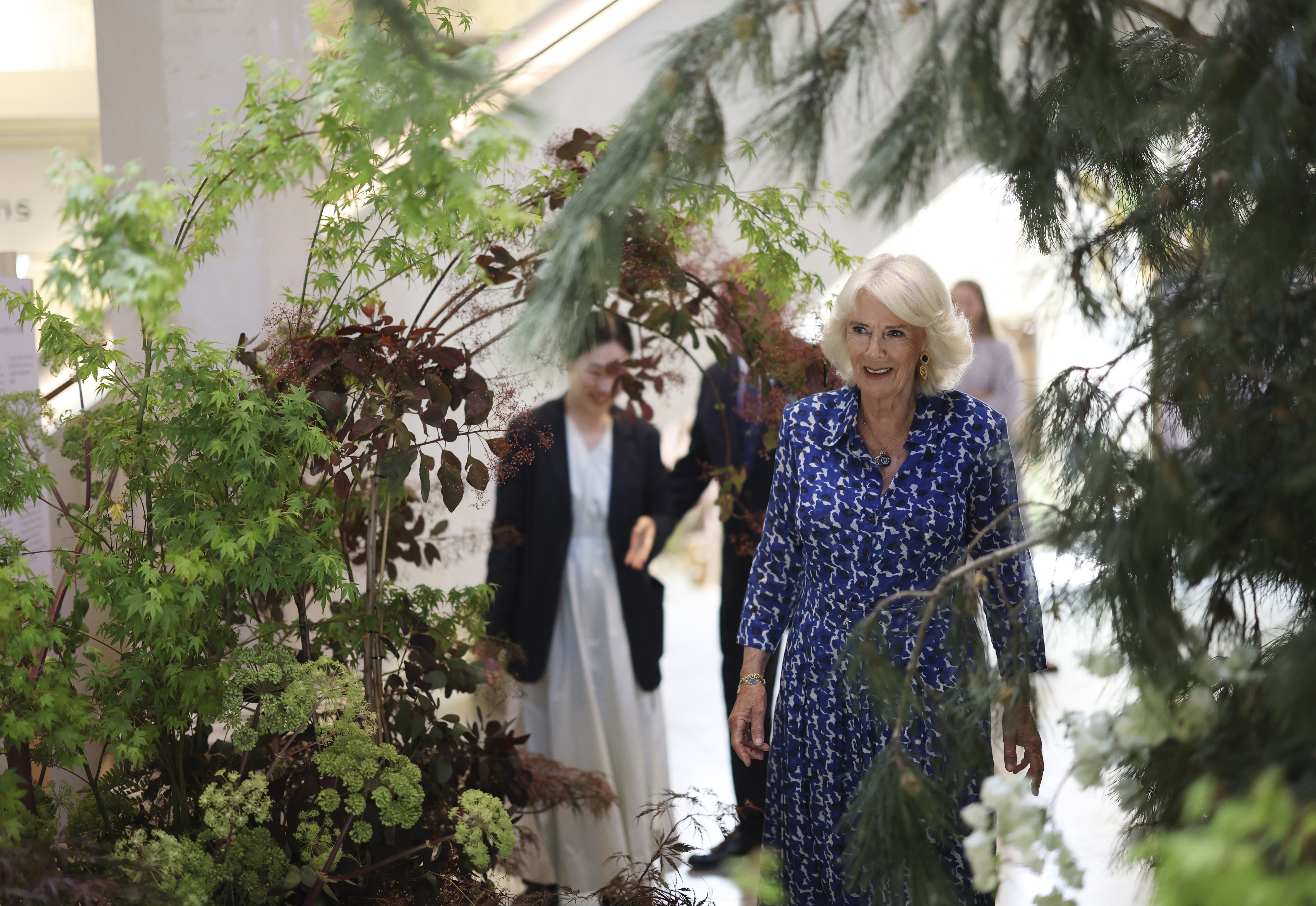 Queen Camilla visits the Garden Museum in Lambeth, London. Photo / Geoff Pugh file