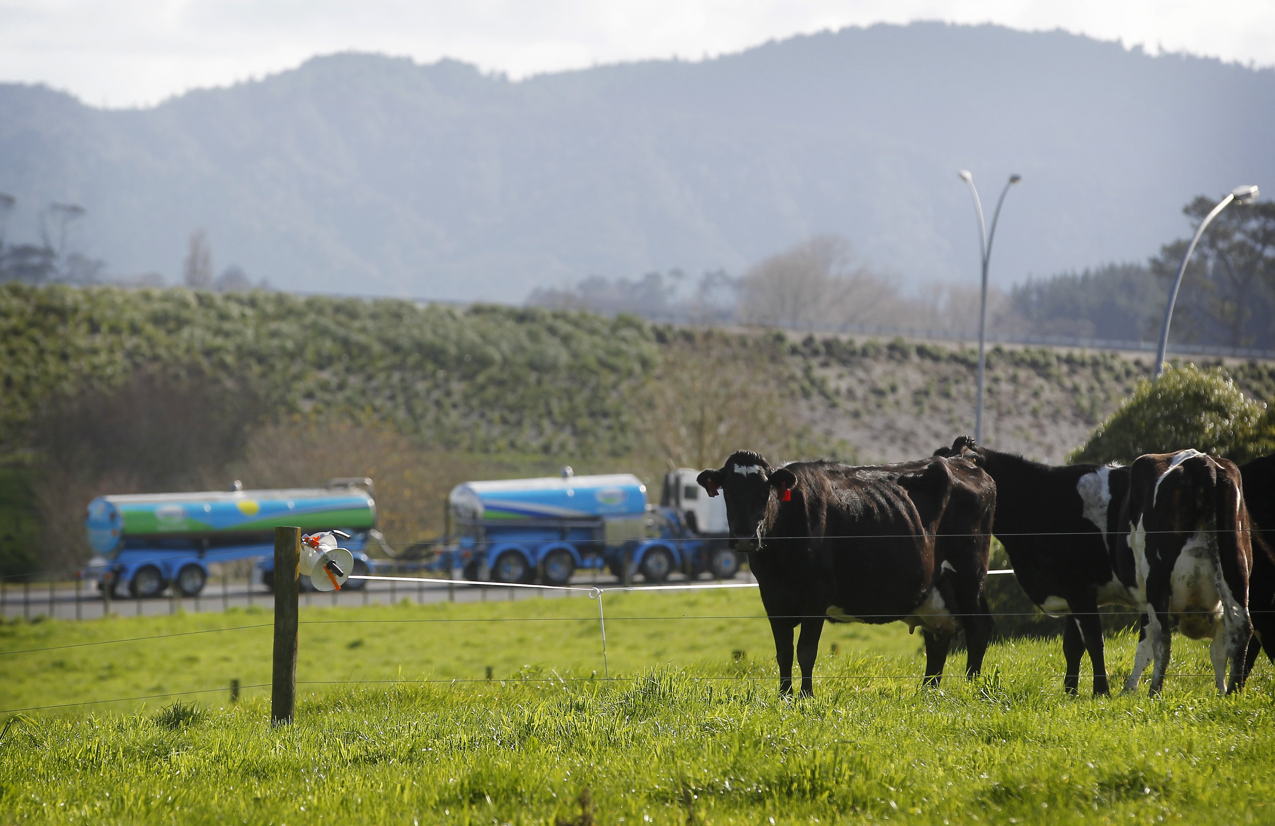 Thirty five per cent of Northland dairy farms are not fully compliant with their effluent discharge consents, with 6 per cent having significant non-compliance issues, Northland Regional Council monitoring has found.