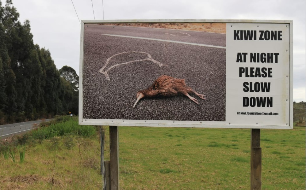 A billboard near Kerikeri reminds motorists to look out for kiwi at night. Photo / RNZ / Peter de Graaf