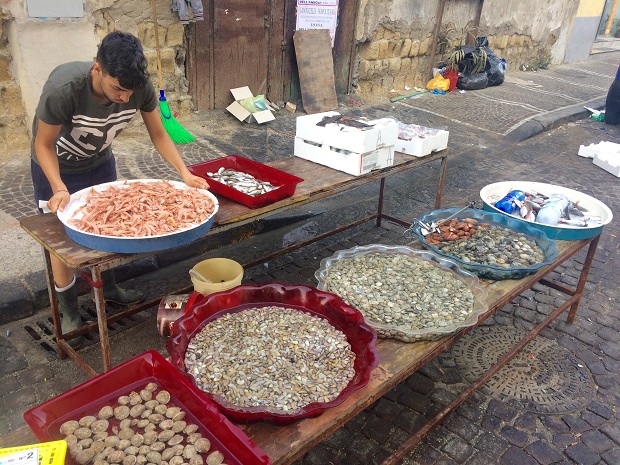 Fishing boats' fresh catch set out for sale.