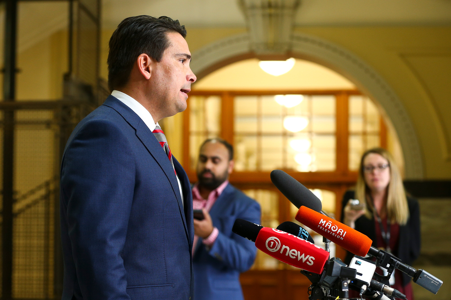 Sir David Skegg said that deposed National leader Simon Bridges did a good job of chairing the Epidemic Response Committee. Photo / Pool