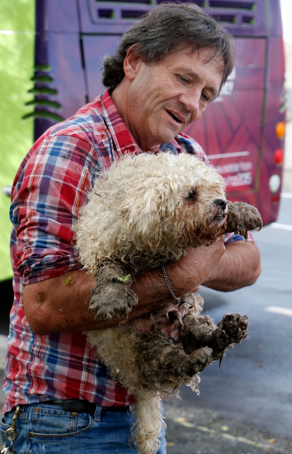 Keith Thompson - seen here rescuing a dog from a stream last June - has enforced parking, barking and noise rules in Whangarei for 20 years.