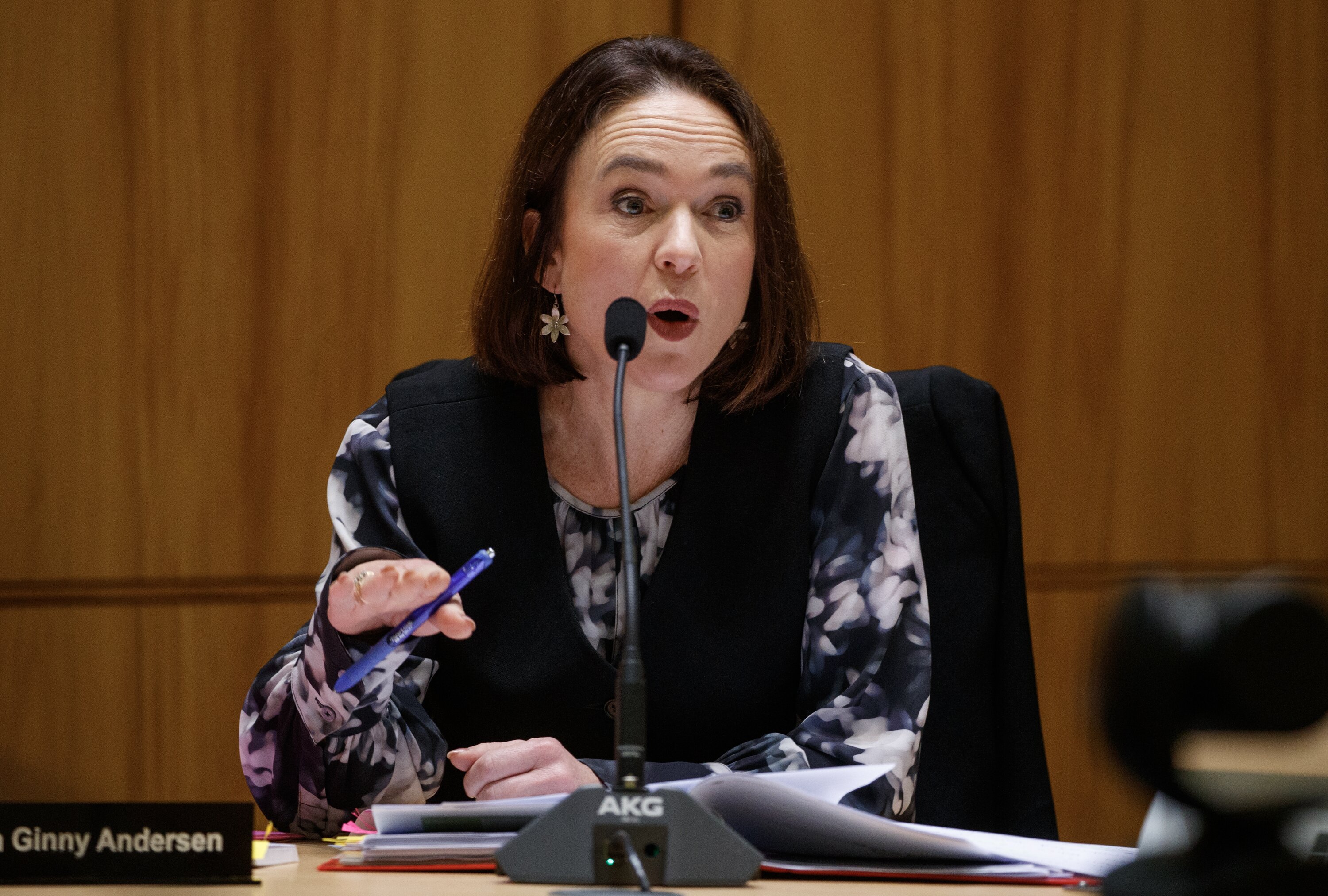 Labour MP Ginny Andersen is one of the members of the Justice Select Committee. Photo / Mark Mitchell   