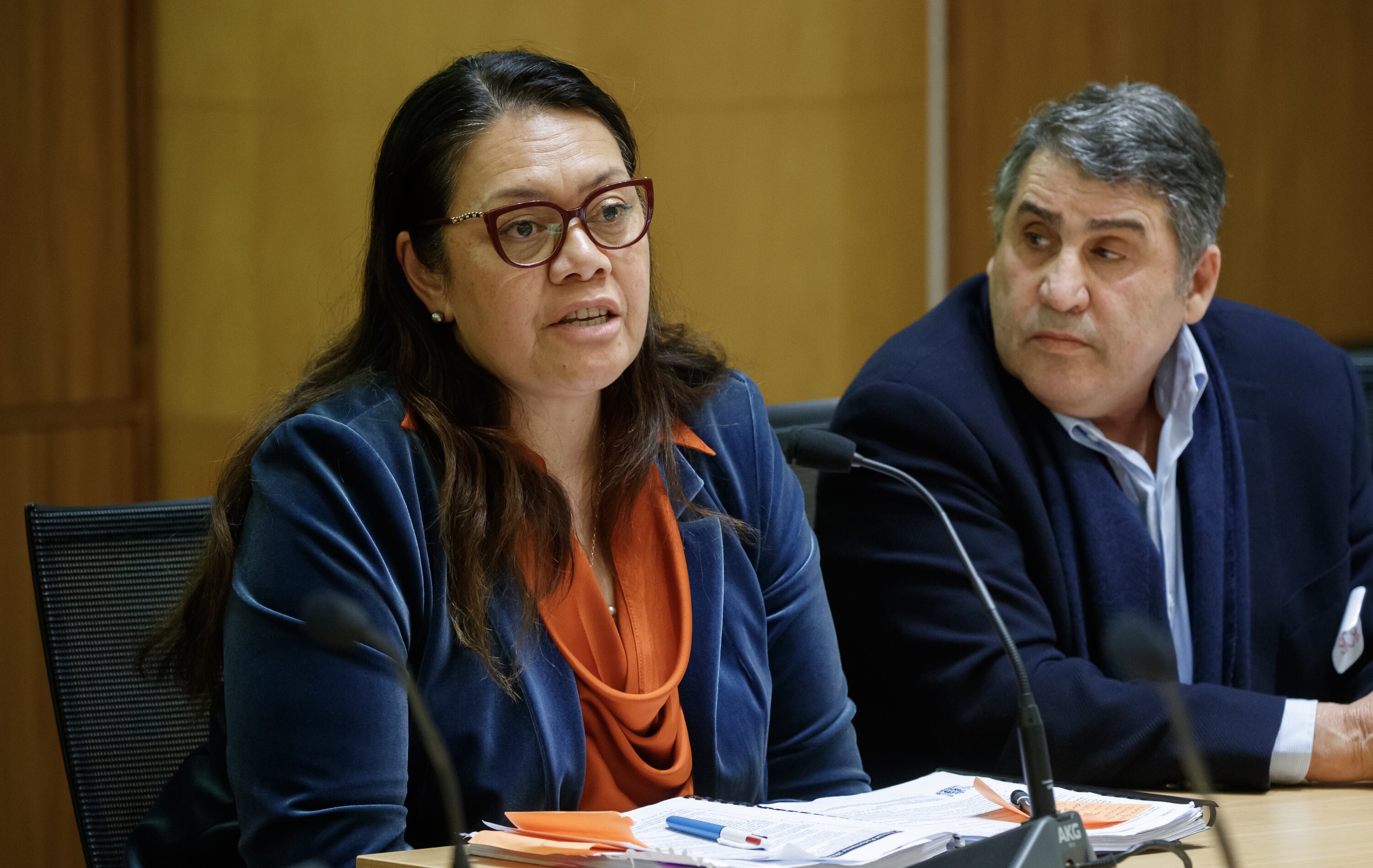 Health NZ chief executive Margie Apa and Commissioner Lester Levy appear before the Health Select Committee. Photo / Mark Mitchell 