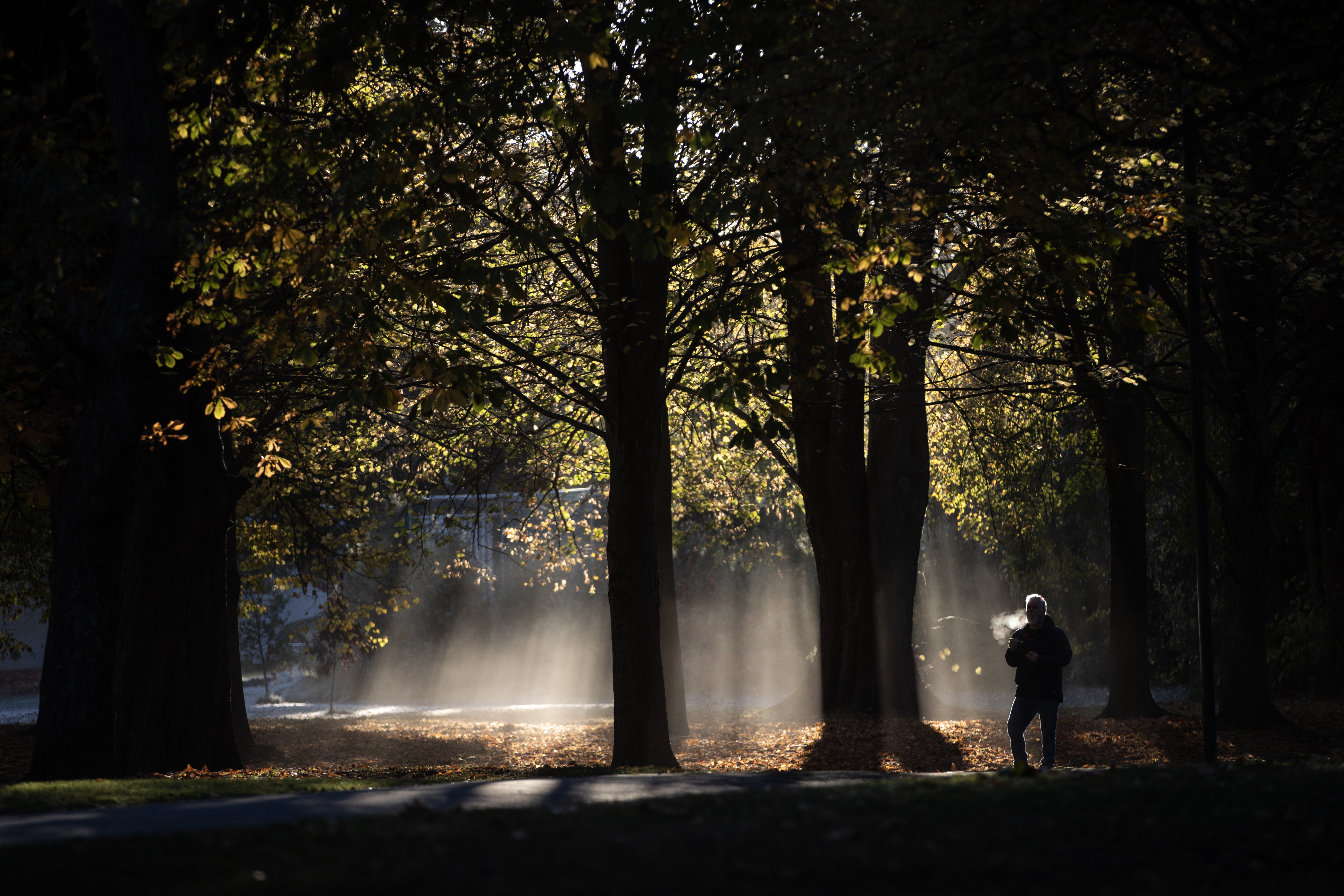 Commuters walking through Christchurch's Hagley Park had a chilly start today with temperatures below zero. Photo / George Heard