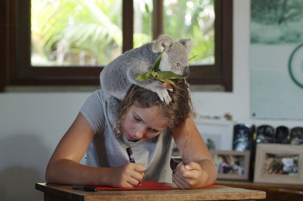 Izzy's Koala World New Series Trailer 🐨 Netflix Jr 