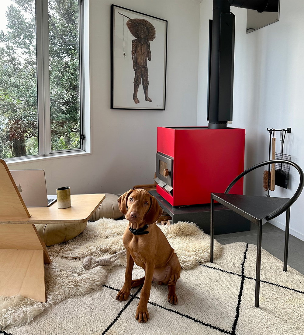 Frances Shoemack works with the company of Sherlock, a Vizsla puppy.