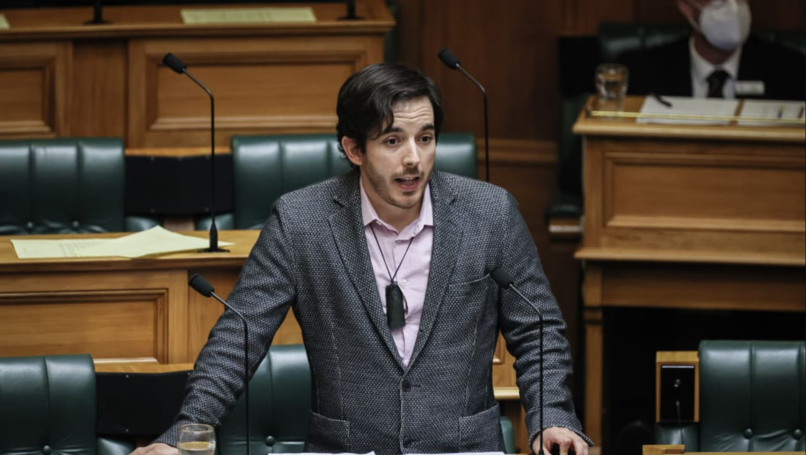 Green MP Ricardo Menéndez March swore while Labour MP Phil Twyford was speaking during a debate on immigration. Photo / RNZ