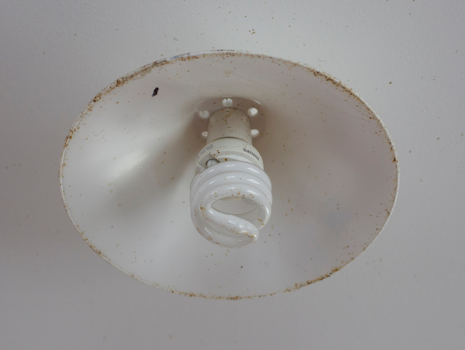 Energy efficient lightbulb, circa 2010. Photo/Natalie Slade